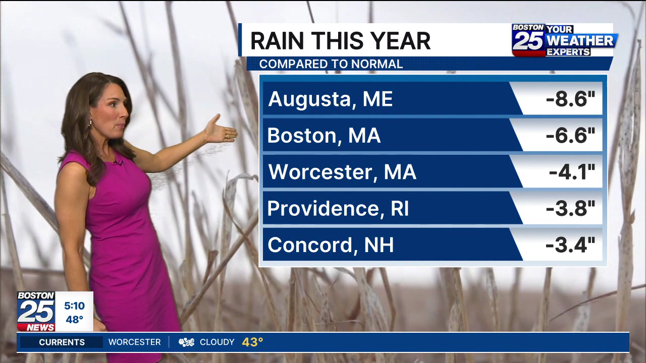 Boston 25 Morning News at 5AM 2026-05-12-0500 (20).png