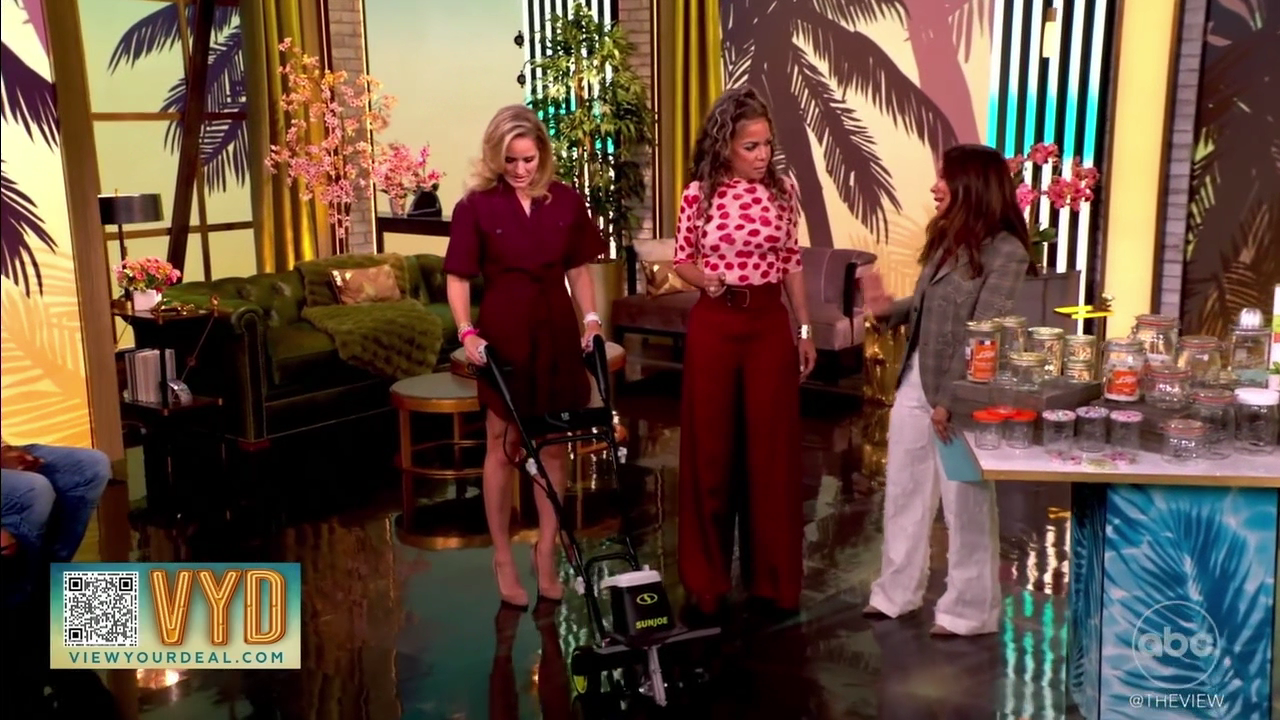 The View S29E171 2026-06-01-1100 (25).png