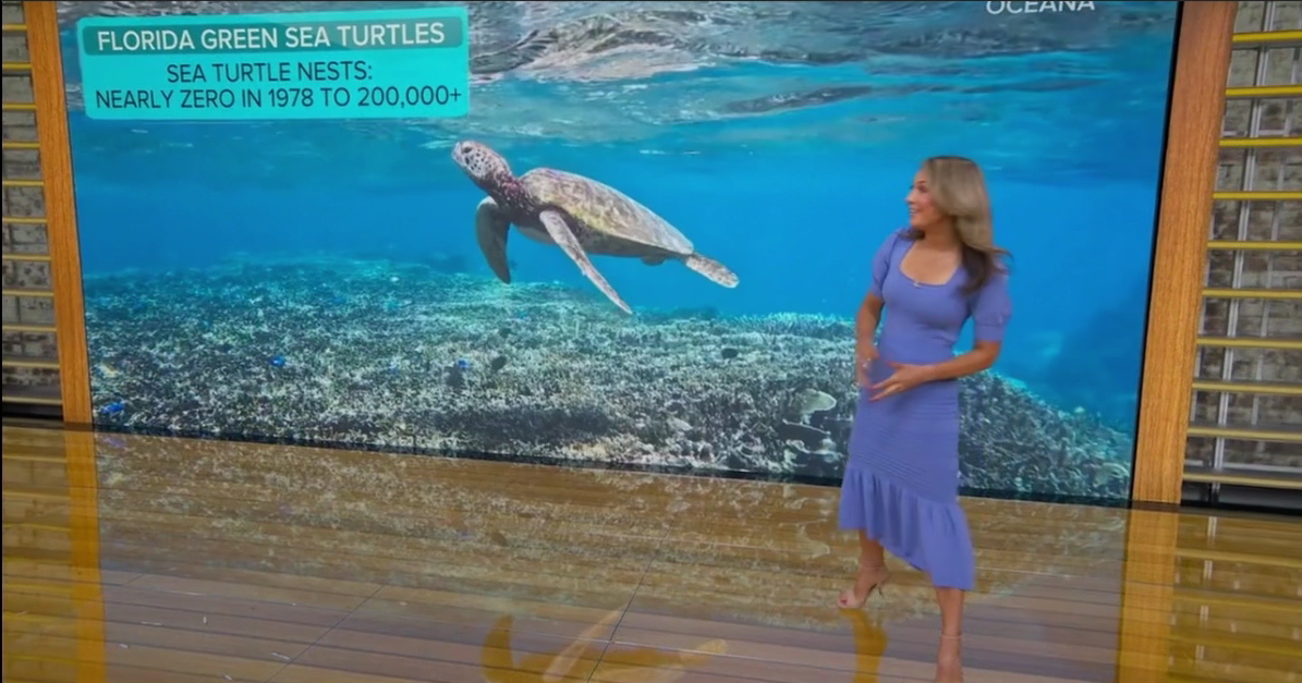 Good Morning America 2026-06-09-0700 (28).png