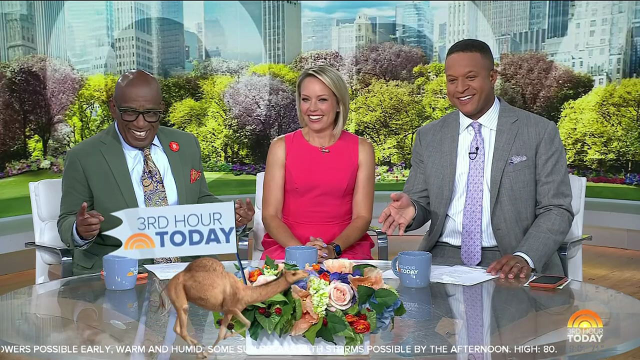 Today 3rd Hour S08E187 2026-06-10-0900 (03).png