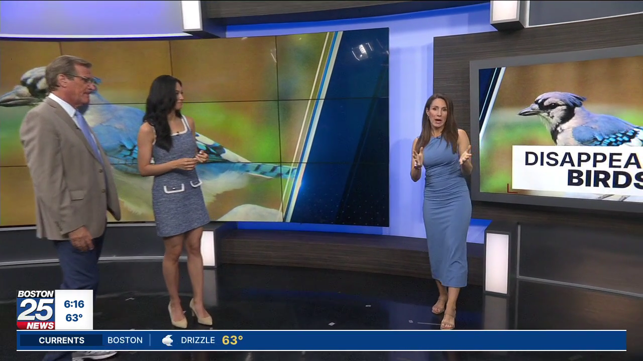 Boston 25 Morning News at 6AM 2026-06-18-0600 (19).png