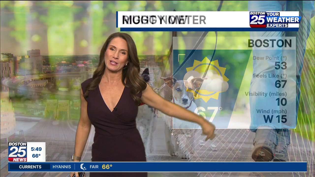 Boston 25 Morning News at 5AM 2026-06-19-0500 (08).png