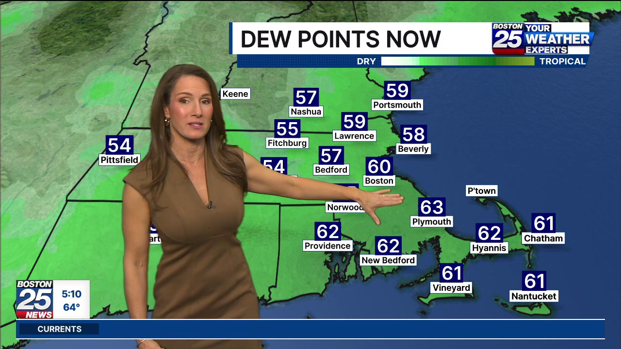 Boston 25 Morning News at 5AM 2026-06-24-0500 (14).png