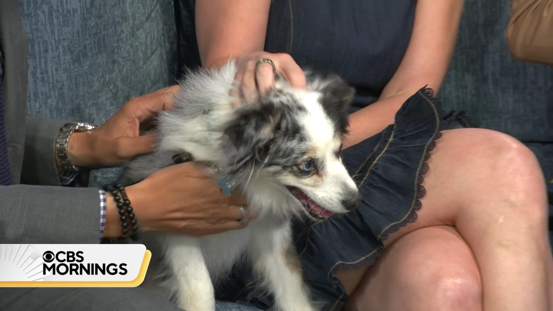 CBS Mornings 2026-07-02-0700 (04).png