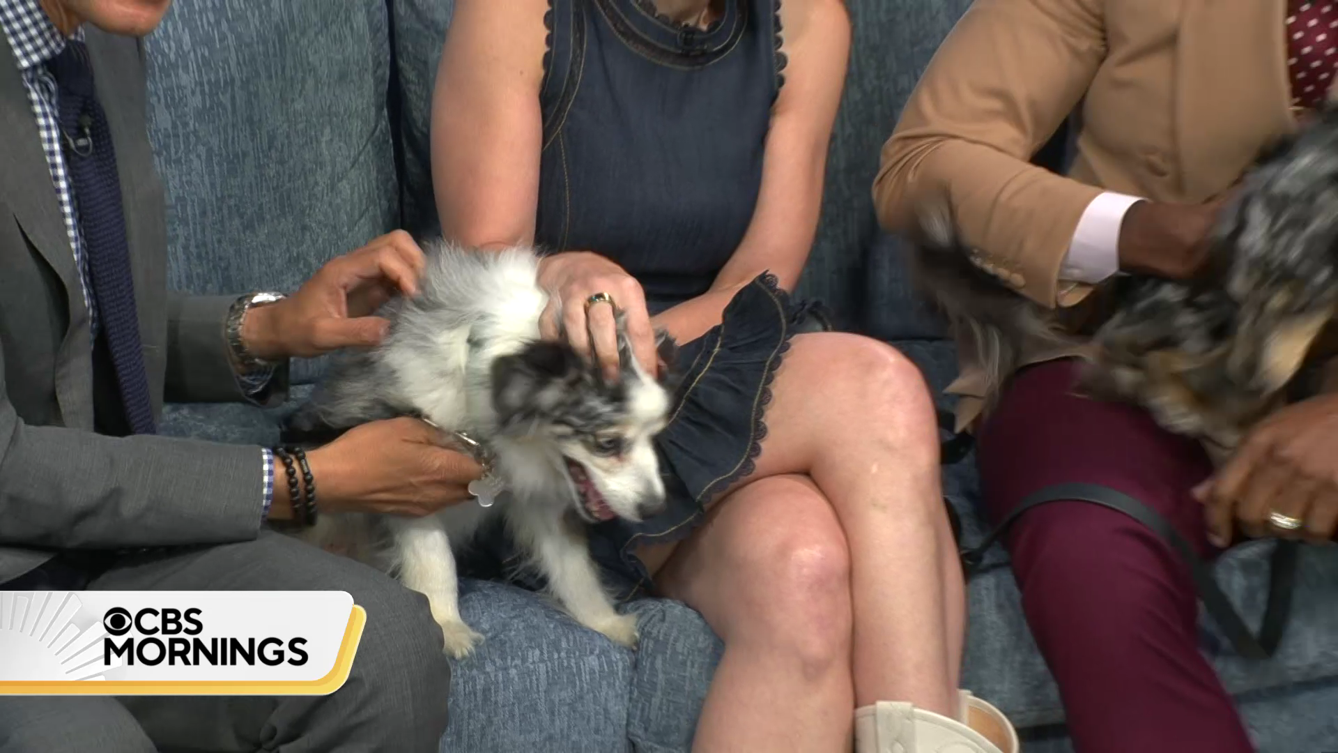 CBS Mornings 2026-07-02-0700 (05).png