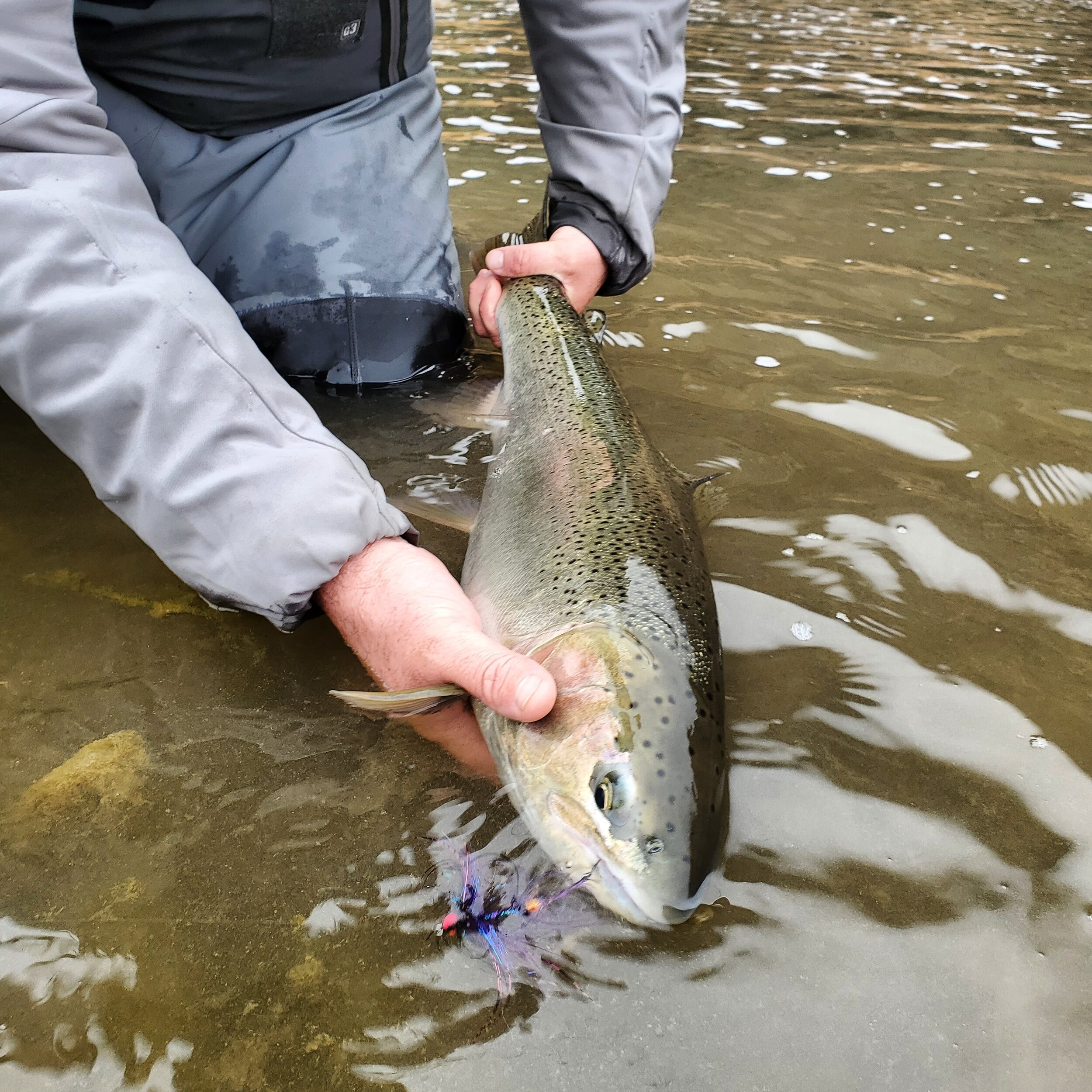 lower deschutes guided trips