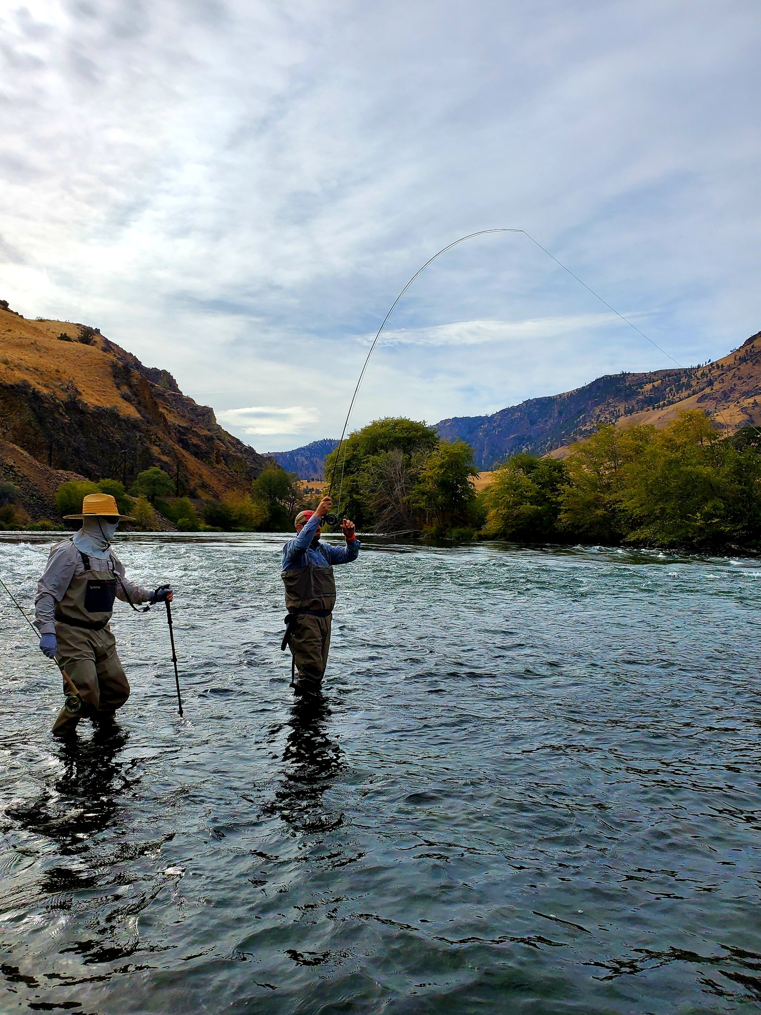 Lower Deschutes Guided Steelhead Trips