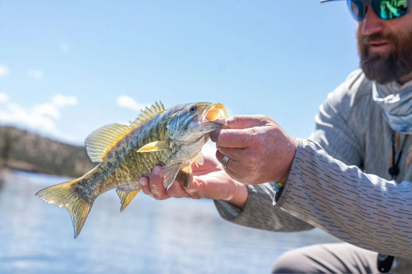 gallery-bass-fish.jpg