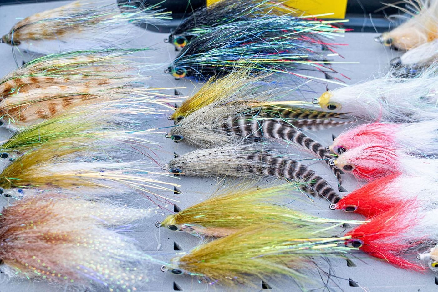 gallery-lbc-flies.jpg