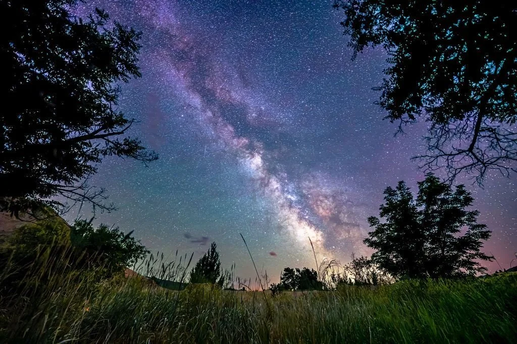gallery-camp-milkyway.jpg