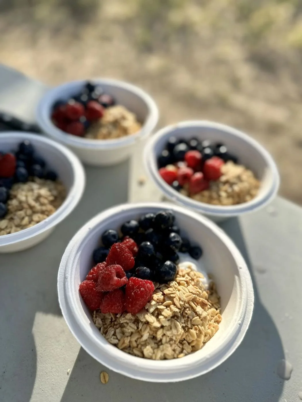 gallery-camp-bowls.jpg