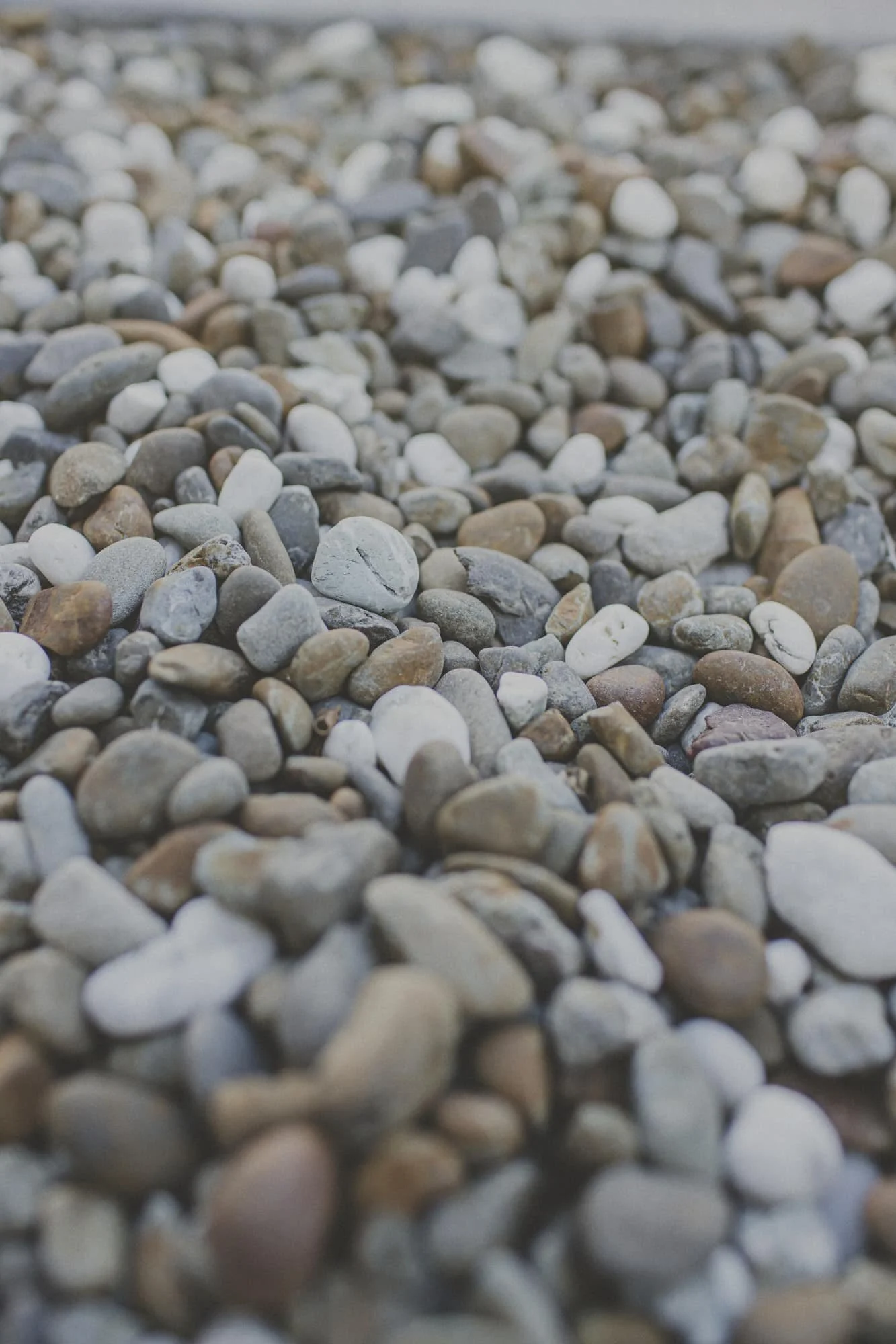 wellington-landscaping-nice-pozi-018.JPG