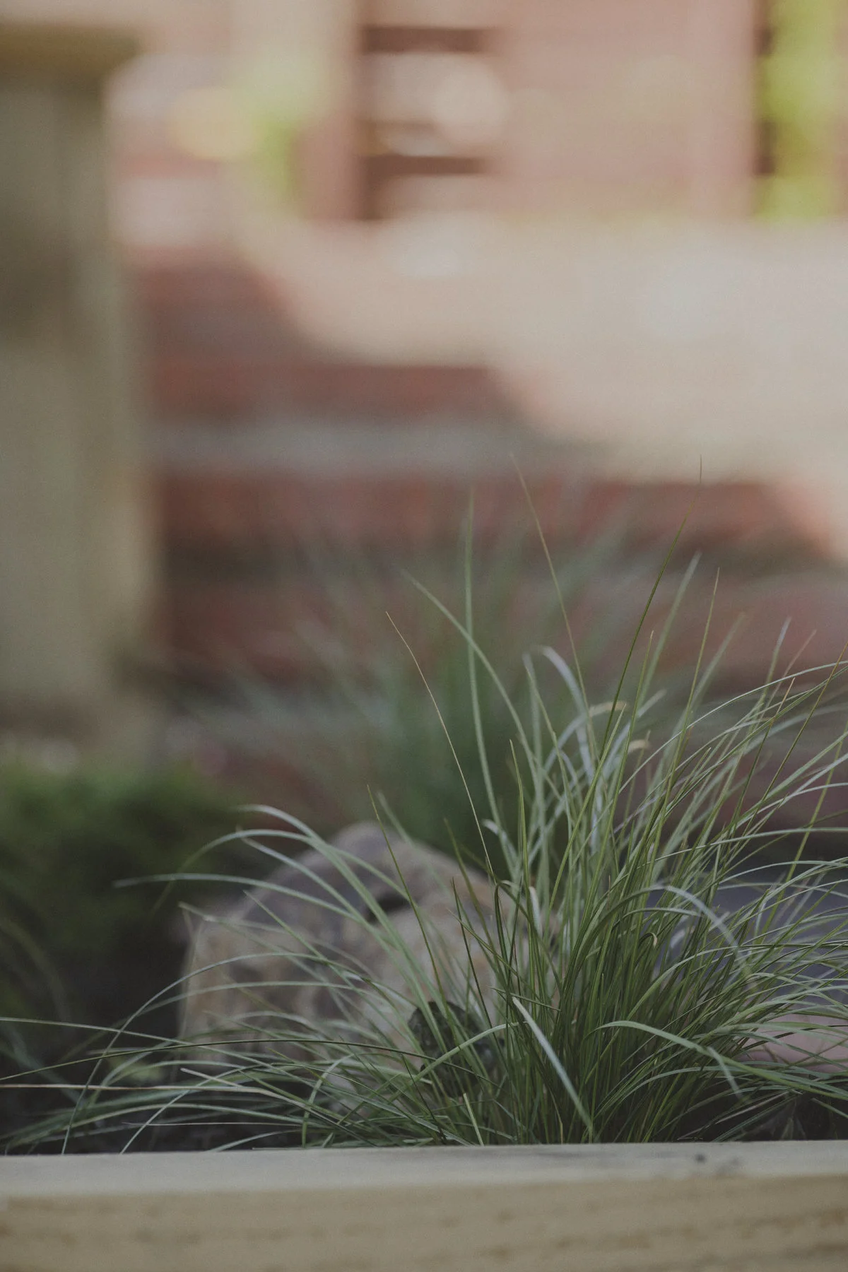 wellington-landscaping-nice-pozi-054.JPG