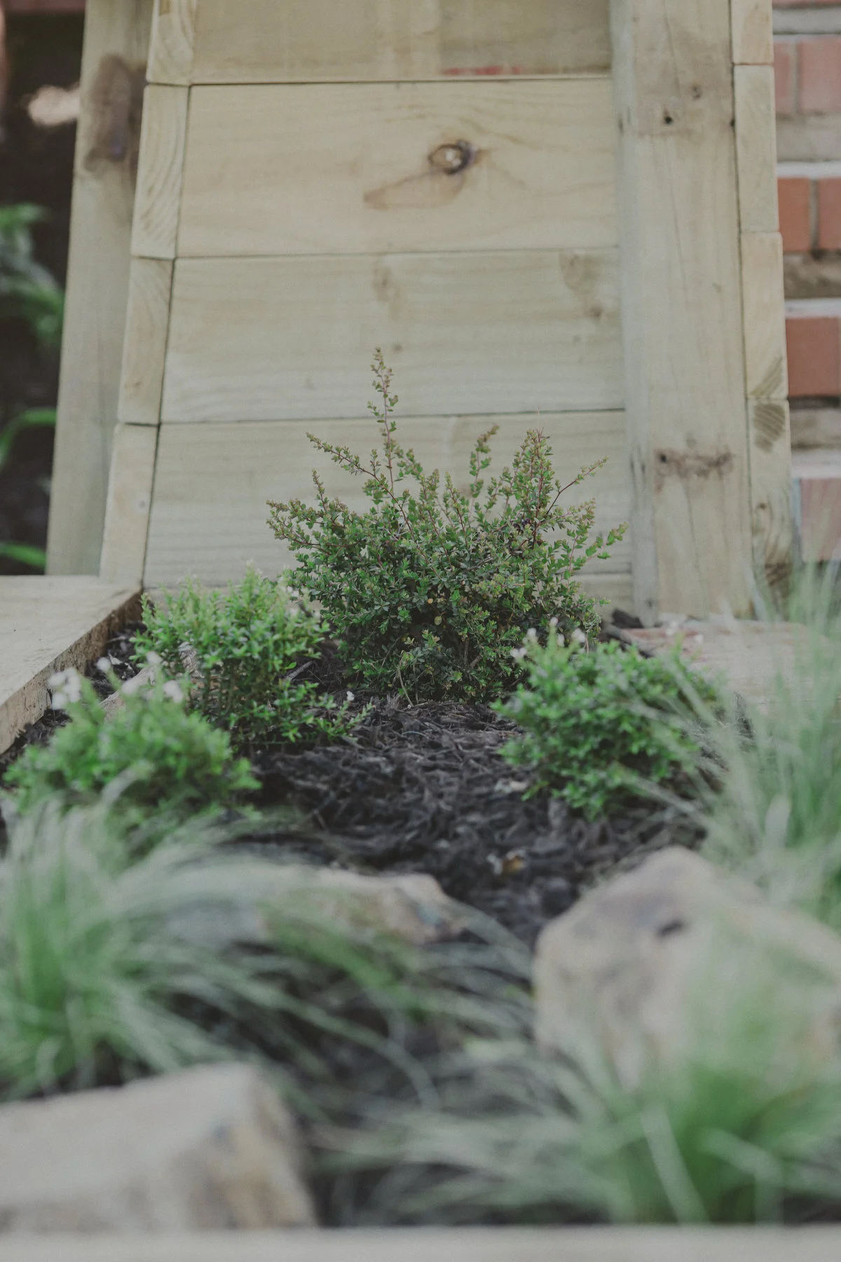 wellington-landscaping-nice-pozi-055.JPG