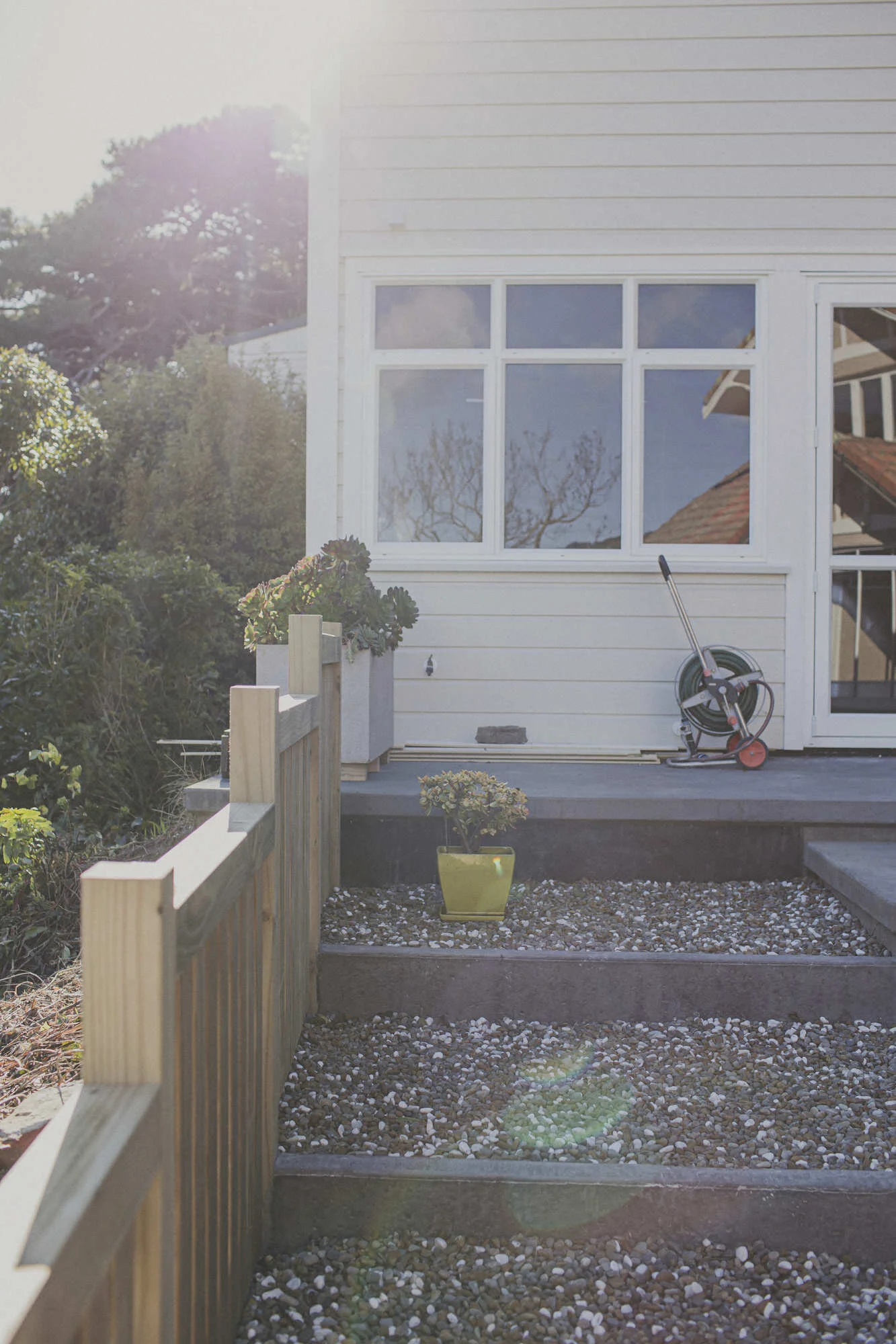 wellington-landscaping-moana-rd-06.JPG