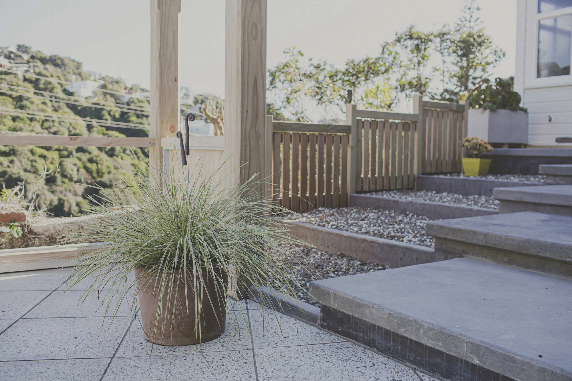 wellington-landscaping-moana-rd-05.JPG