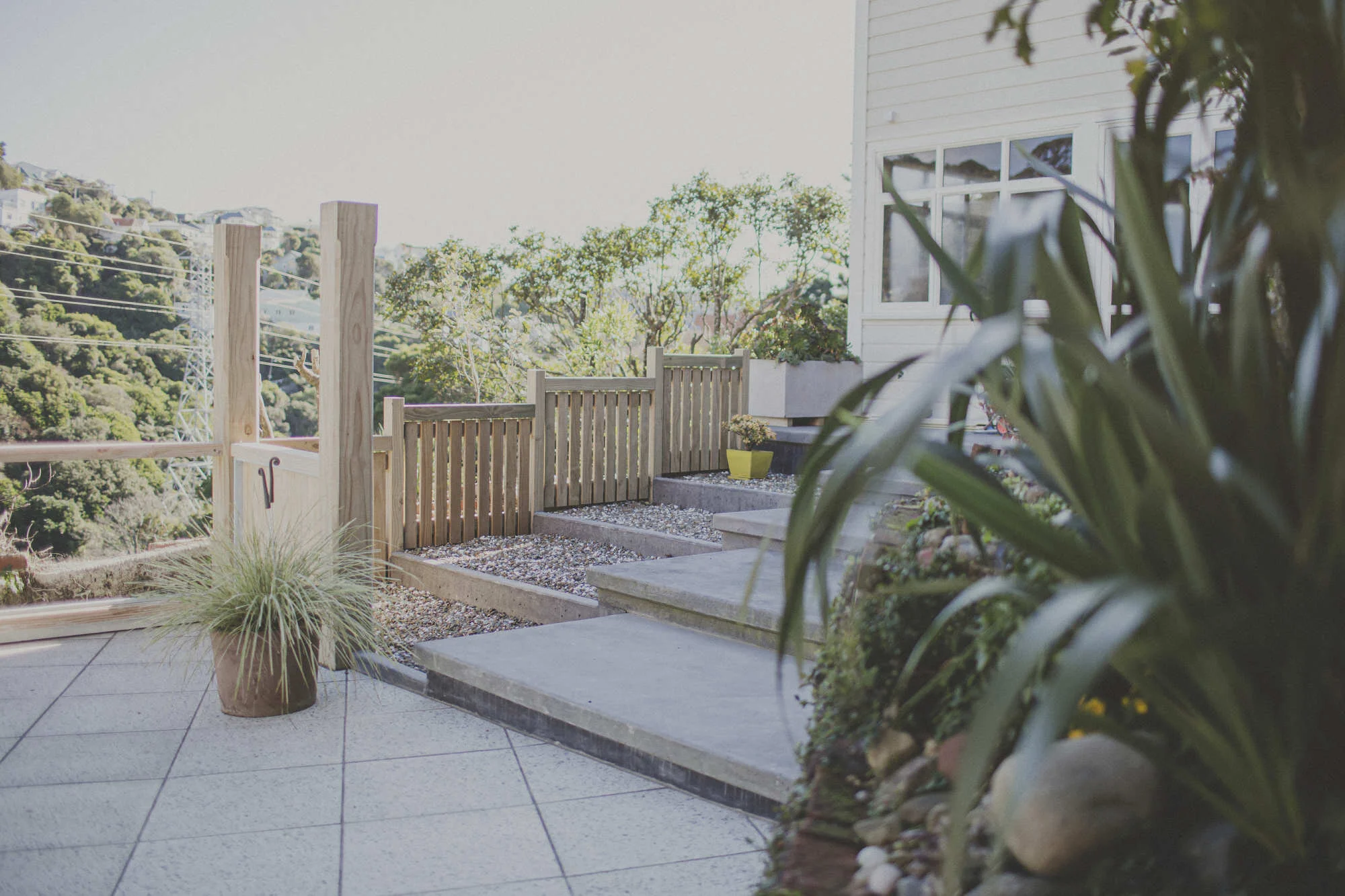 wellington-landscaping-moana-rd-09.JPG
