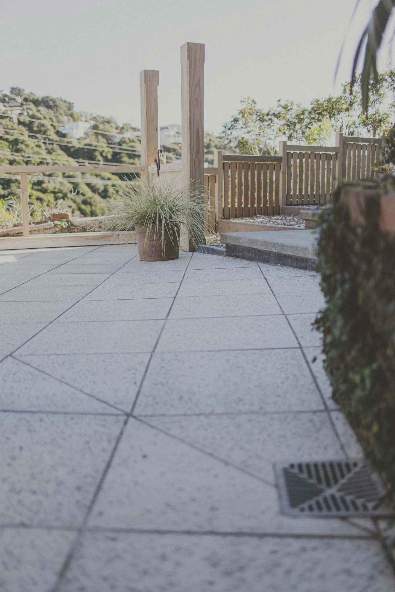 wellington-landscaping-moana-rd-18.JPG