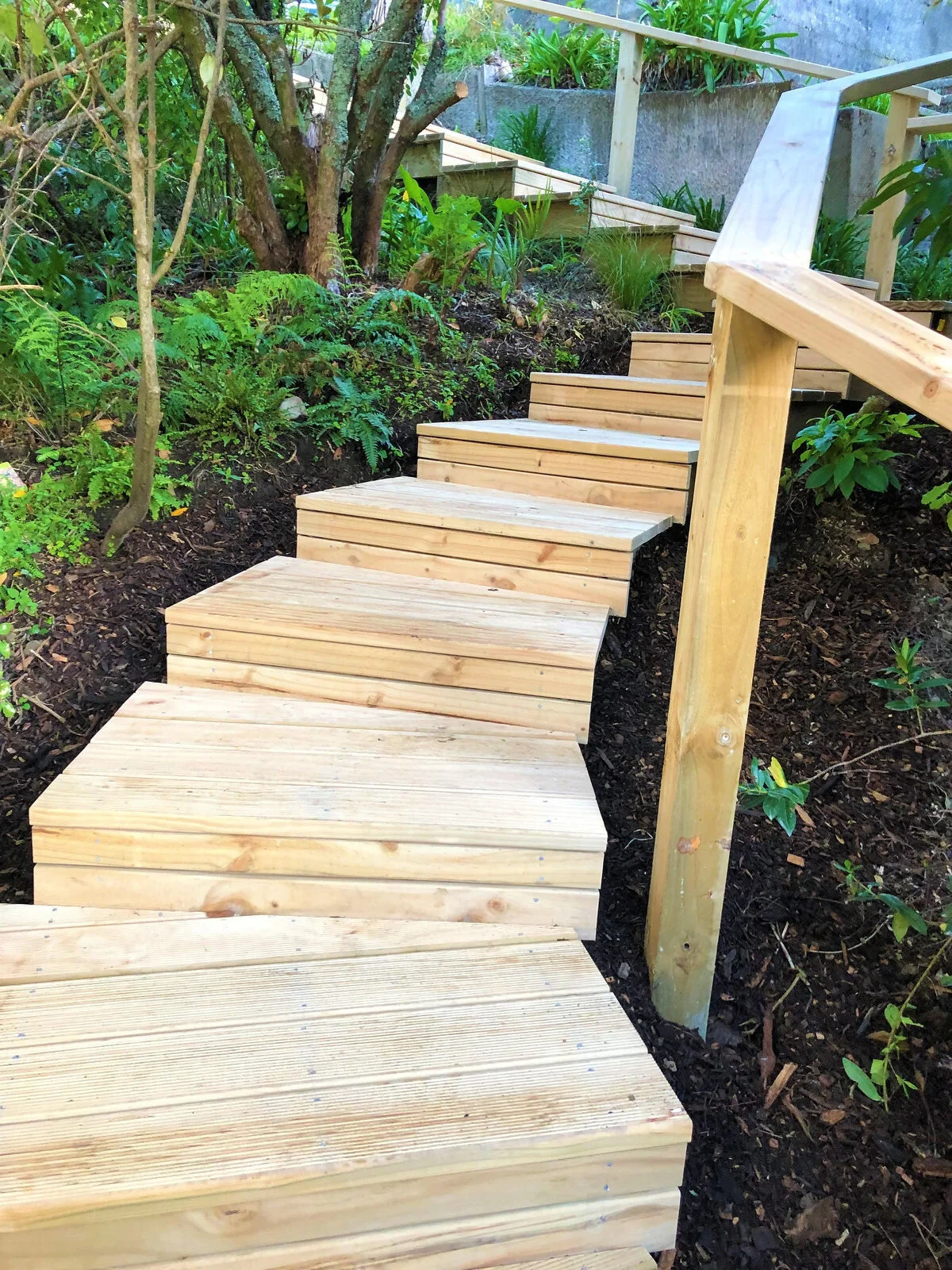 northland-landscaping-wellington-nice-pozi-032.JPG