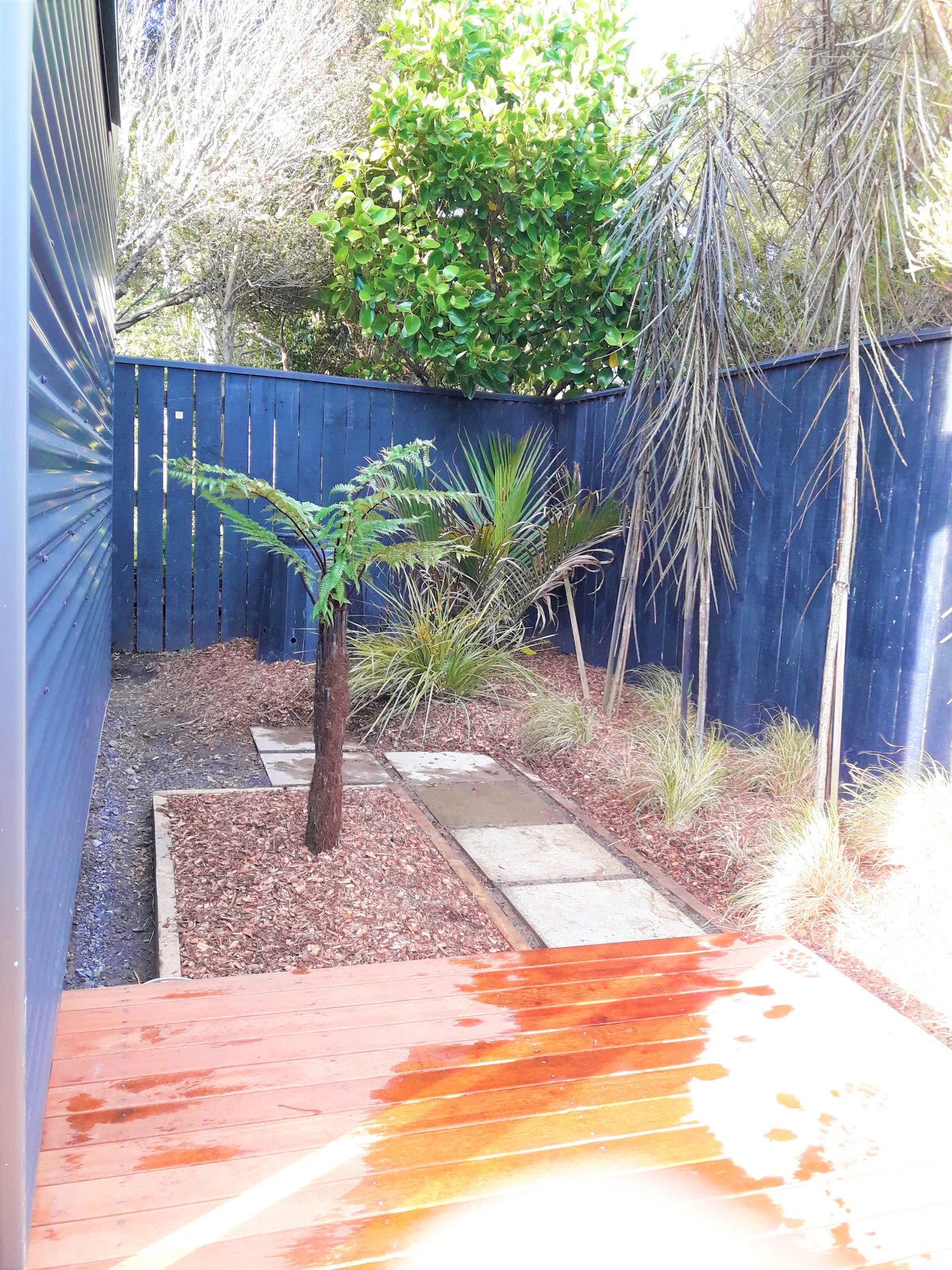 newtown-landscaping-wellington-nice-pozi-037.JPG