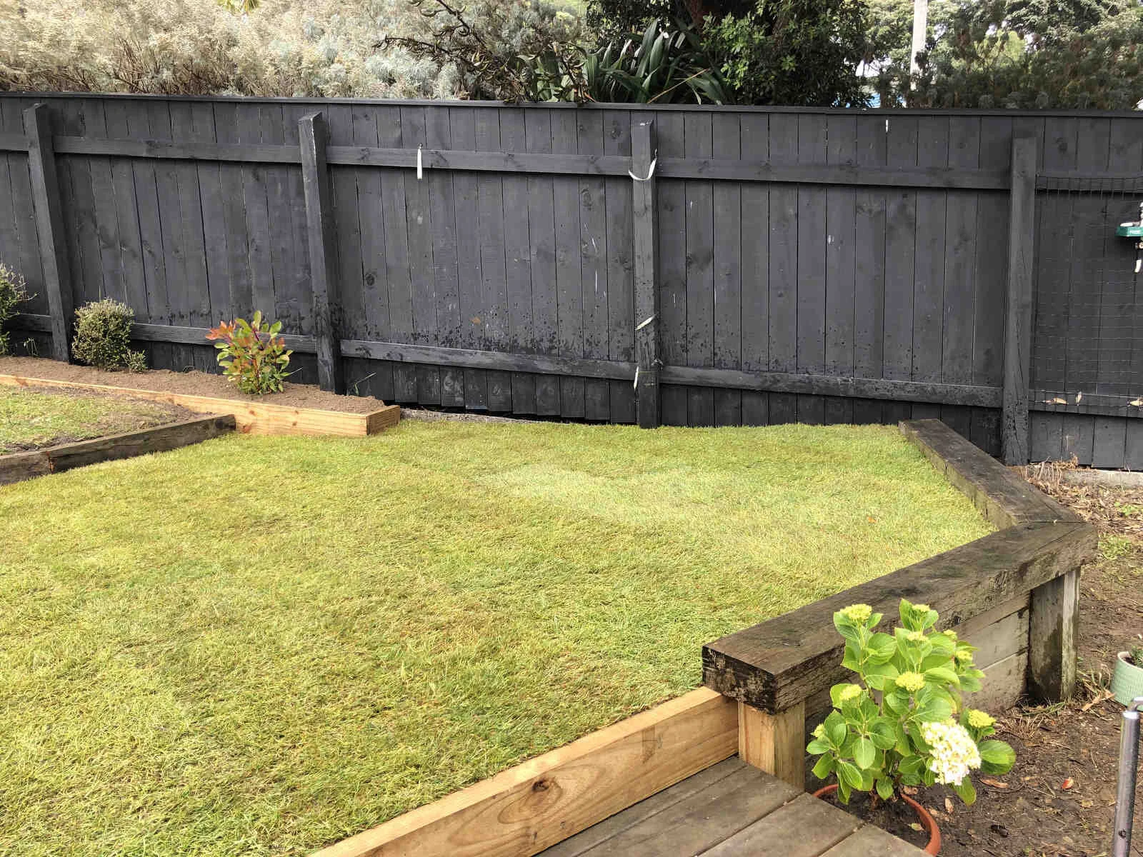 Island-Bay-landscaping-wellington-nice-pozi-058.JPG