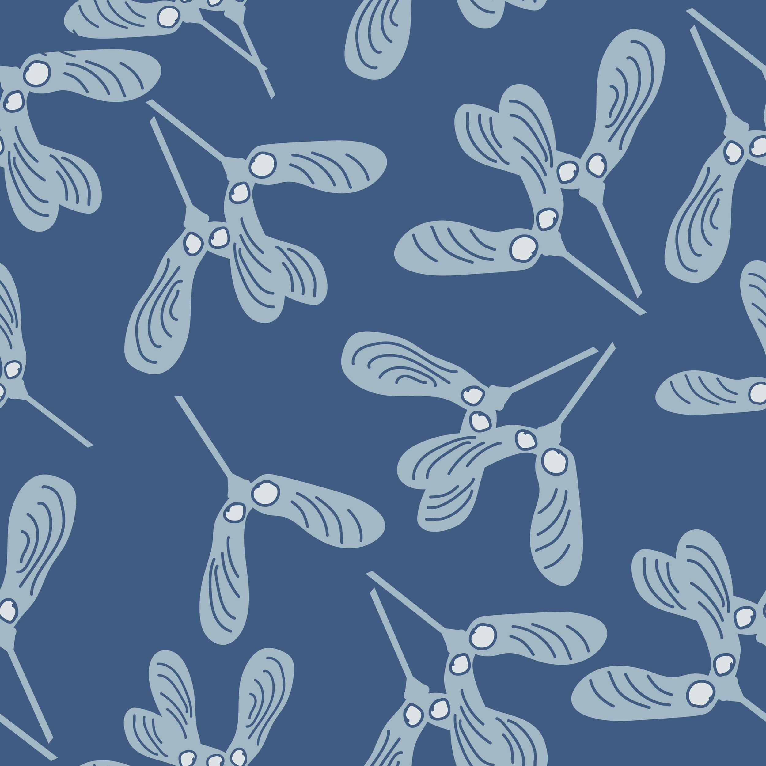 Maple seeds.3.jpg