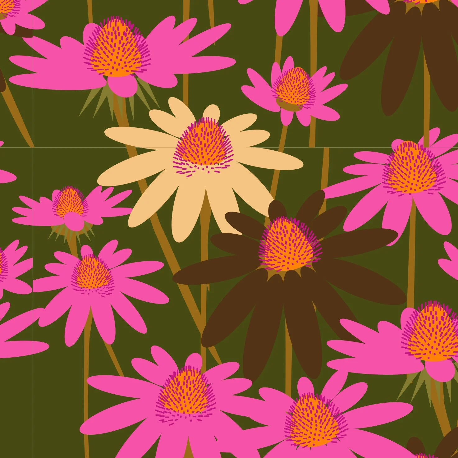 Echinacea.jpg