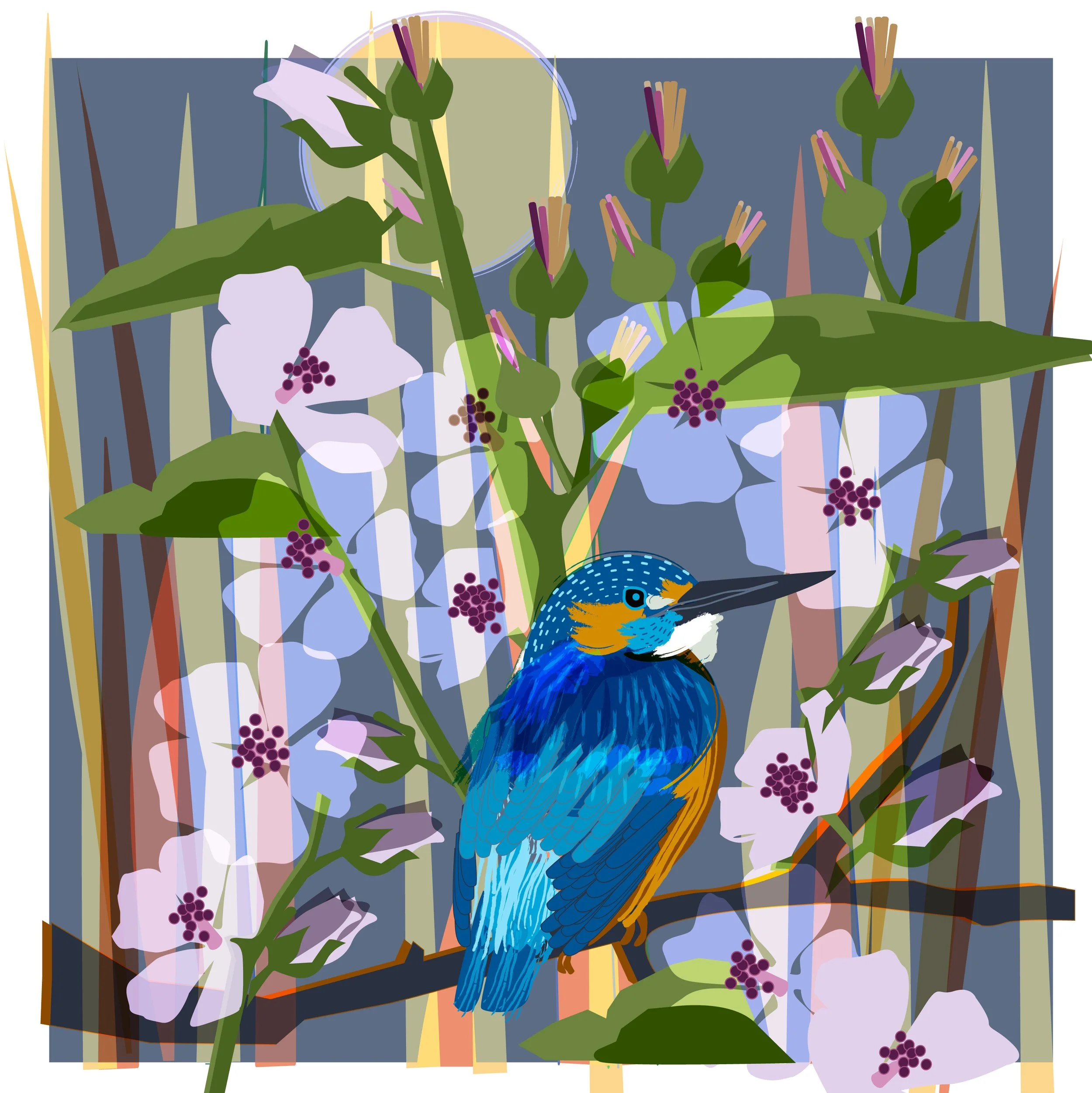 kingfisher2..jpg