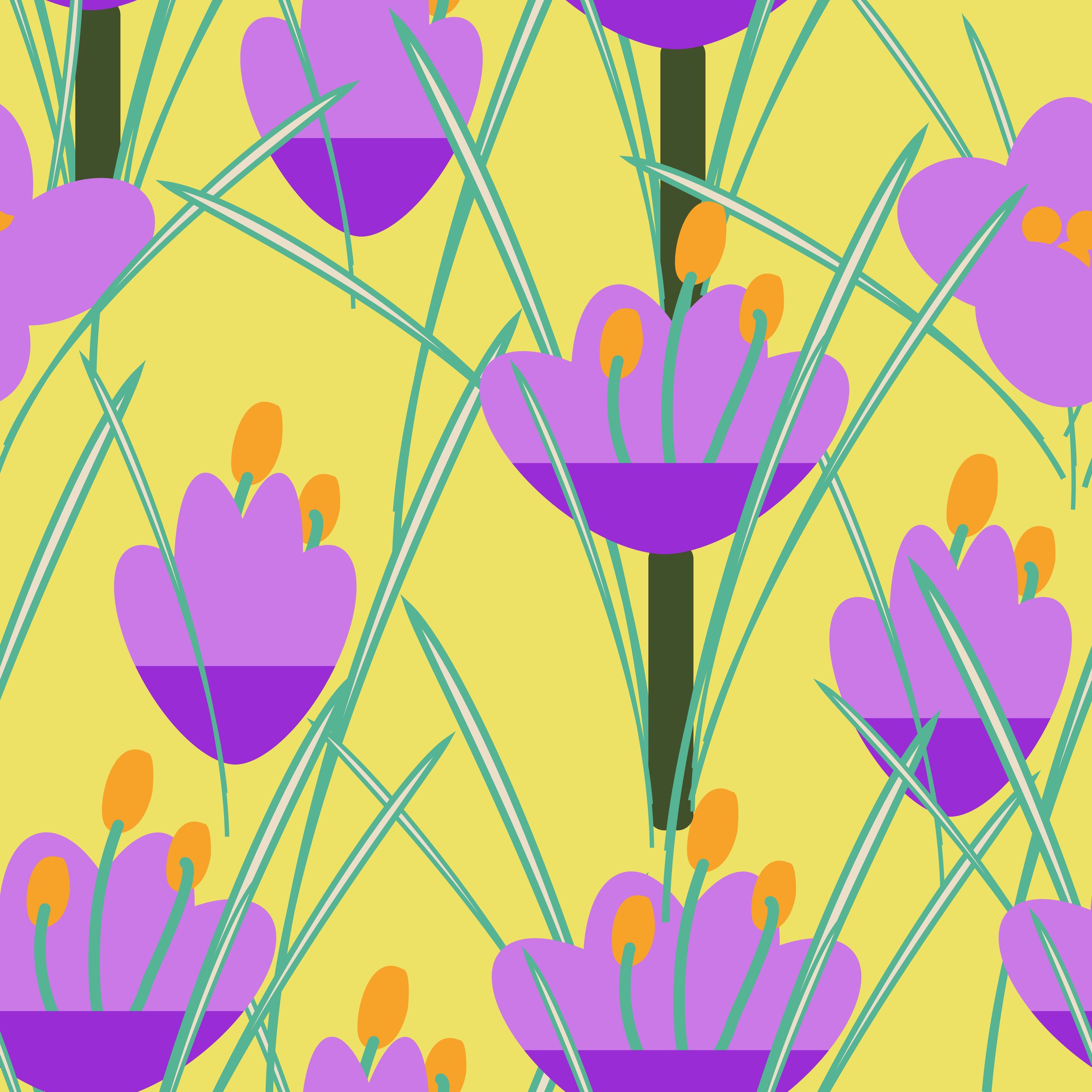 crocus.2-01.jpg