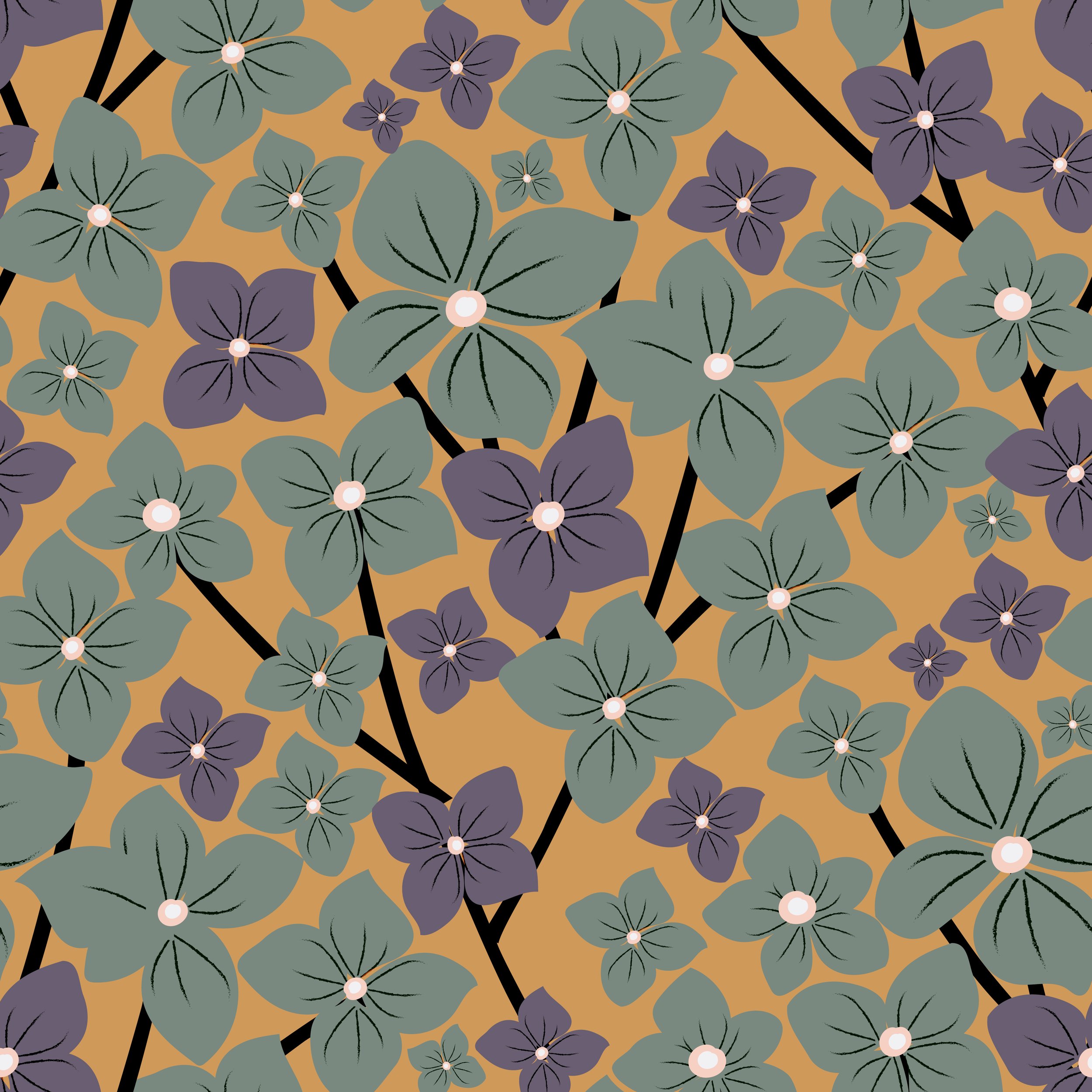 Hortensia.1.jpg