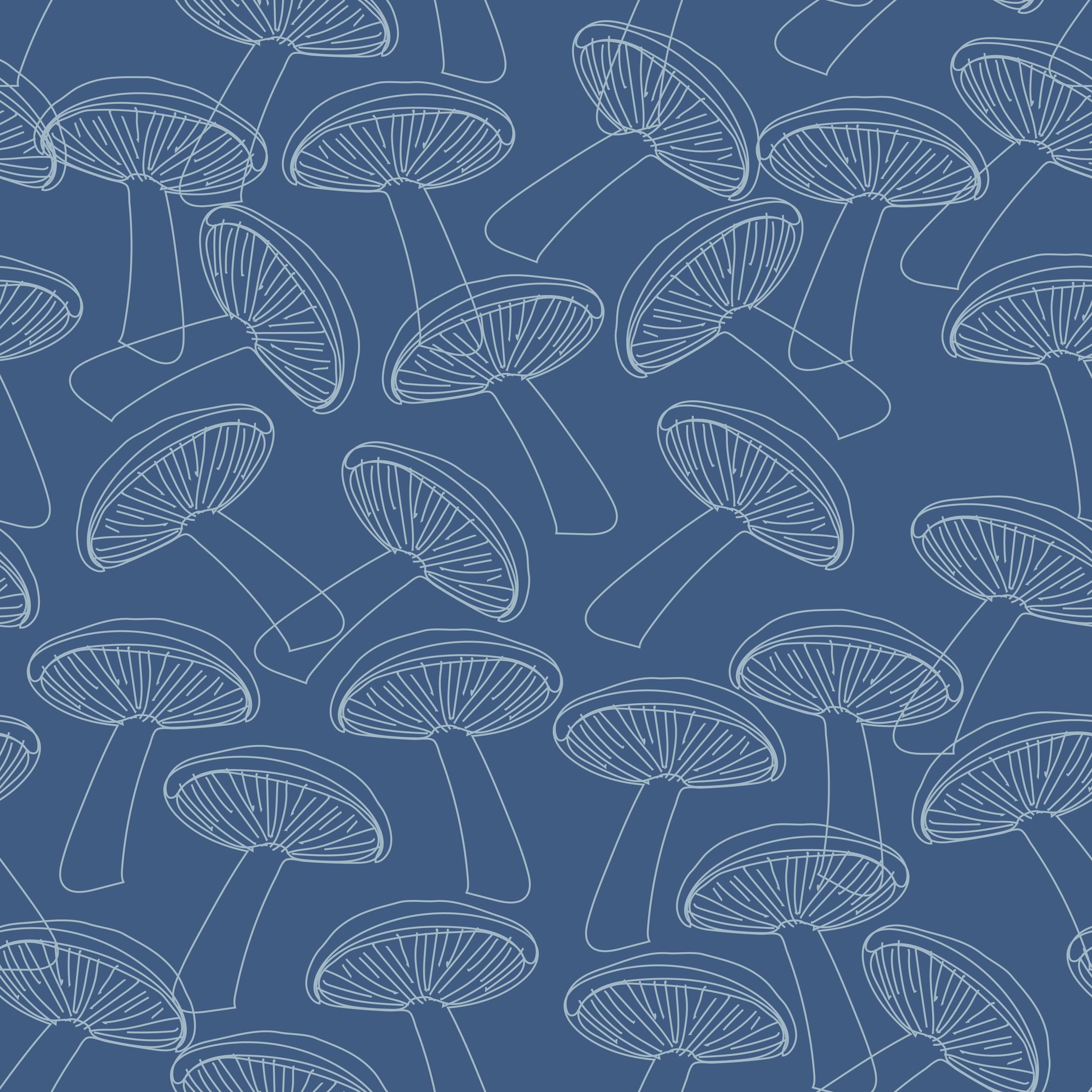 Mushroom, lace.4.jpg