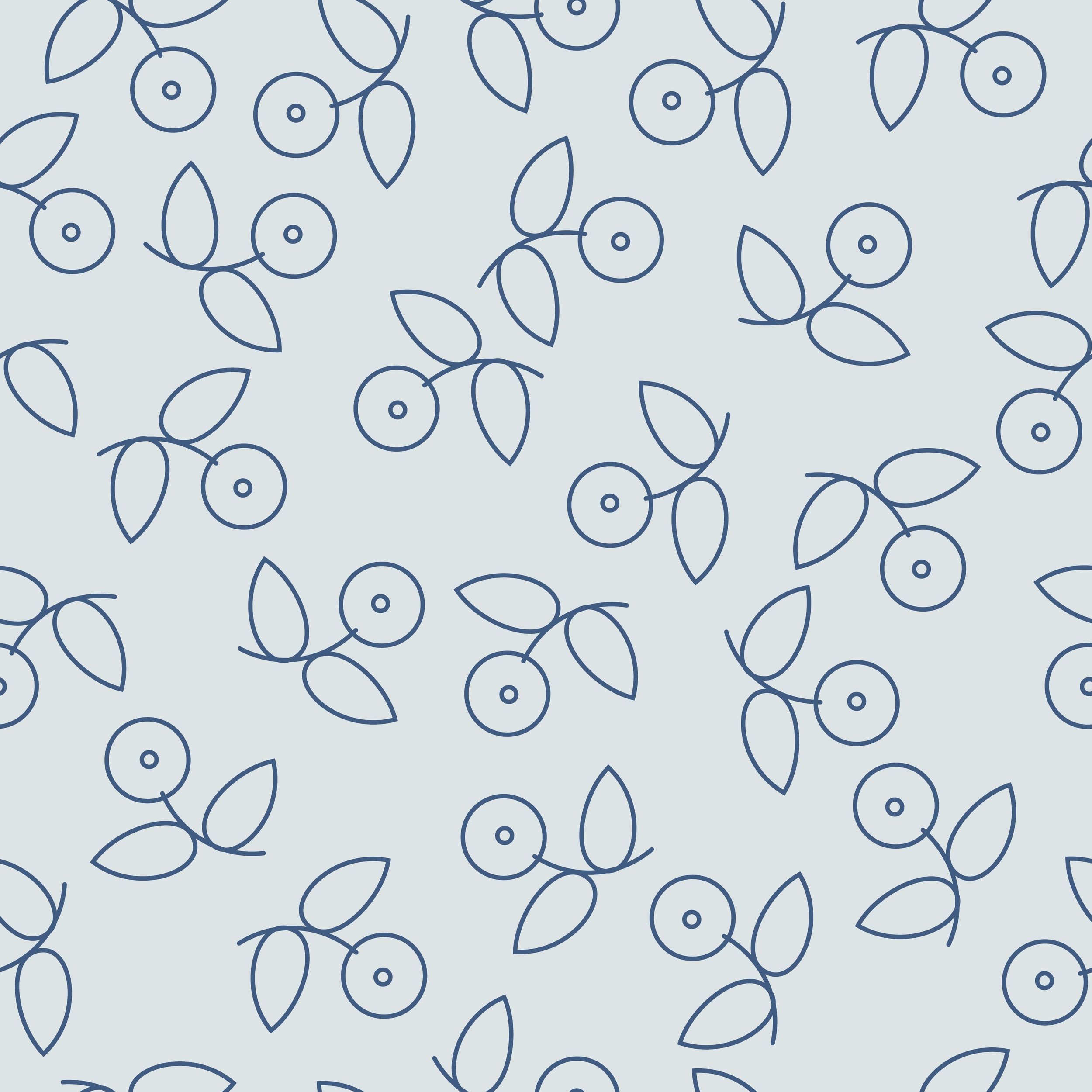 blue berry sketch.6.jpg
