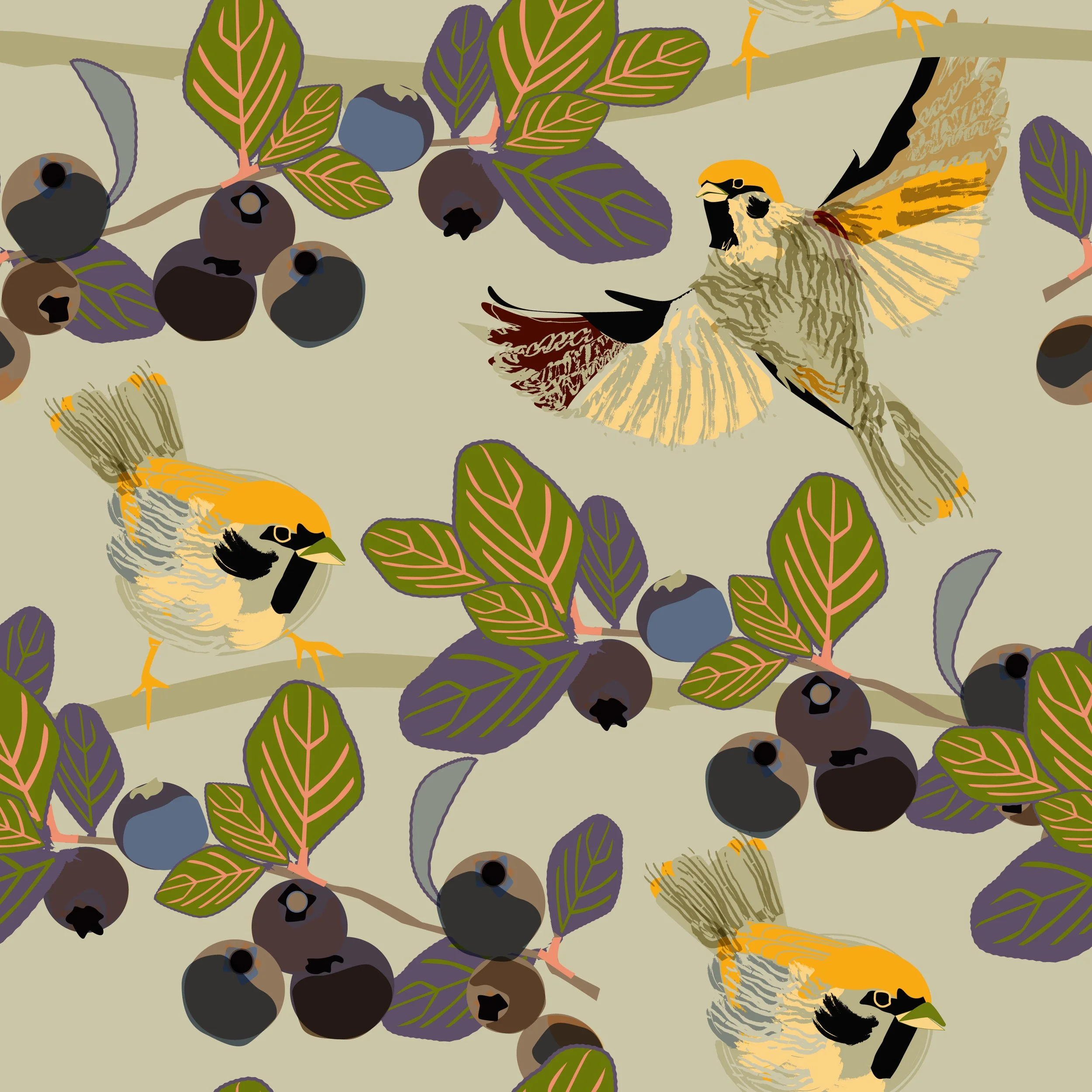 Tree Sparrow.Autumn.1.jpg