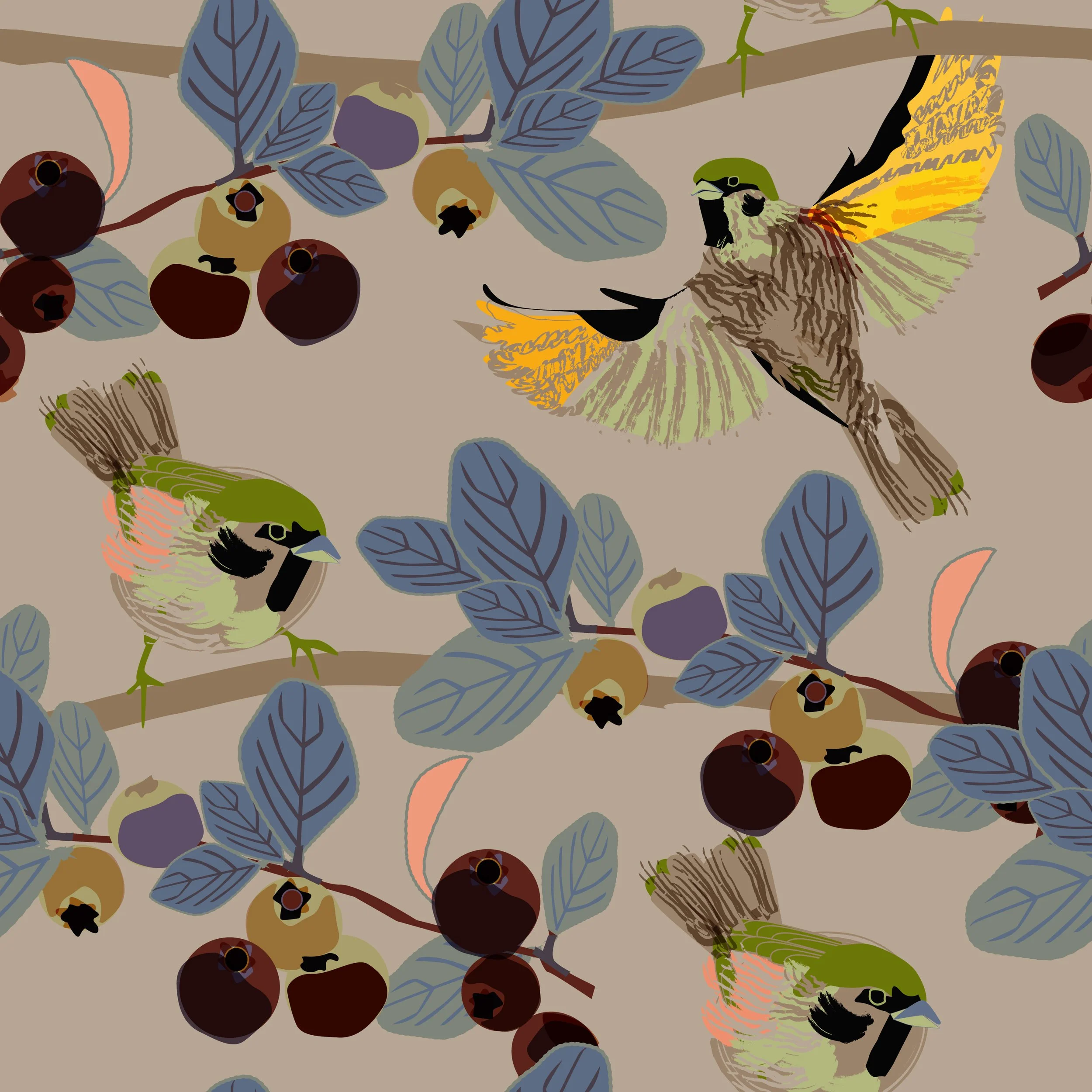 Tree Sparrow.Autumn.2.jpg