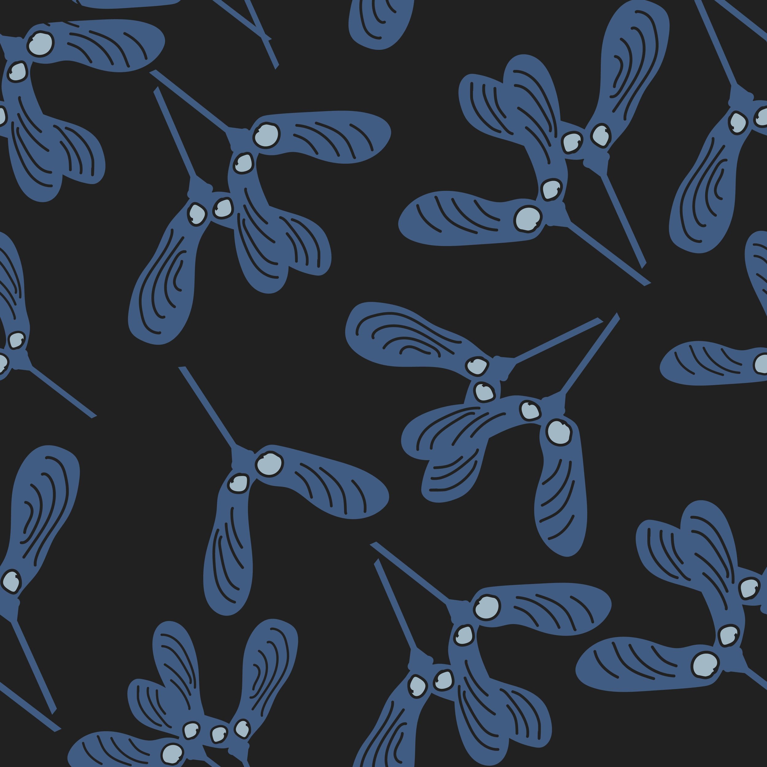 Maple seeds.4.jpg