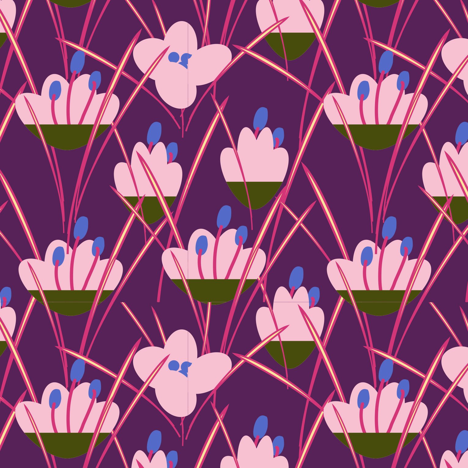 crocus pink.jpg
