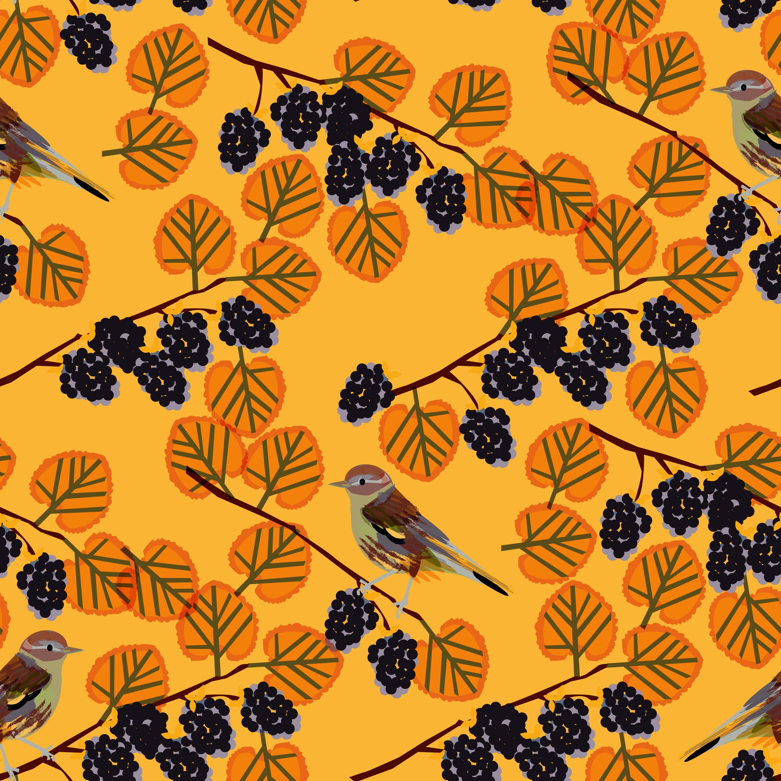 Chaffchiff- Autumn Color.jpg