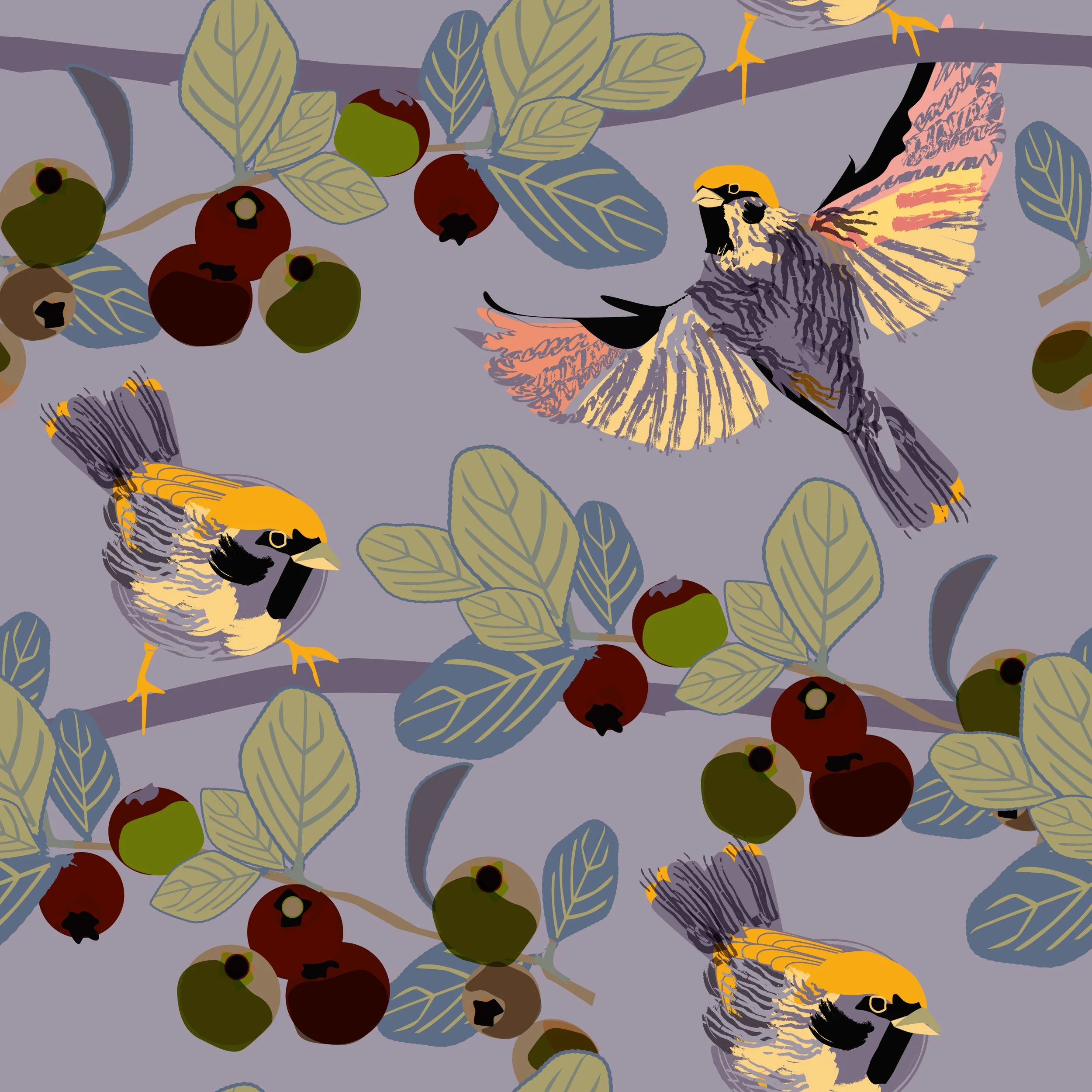 Tree Sparrow.Autumn.3.jpg