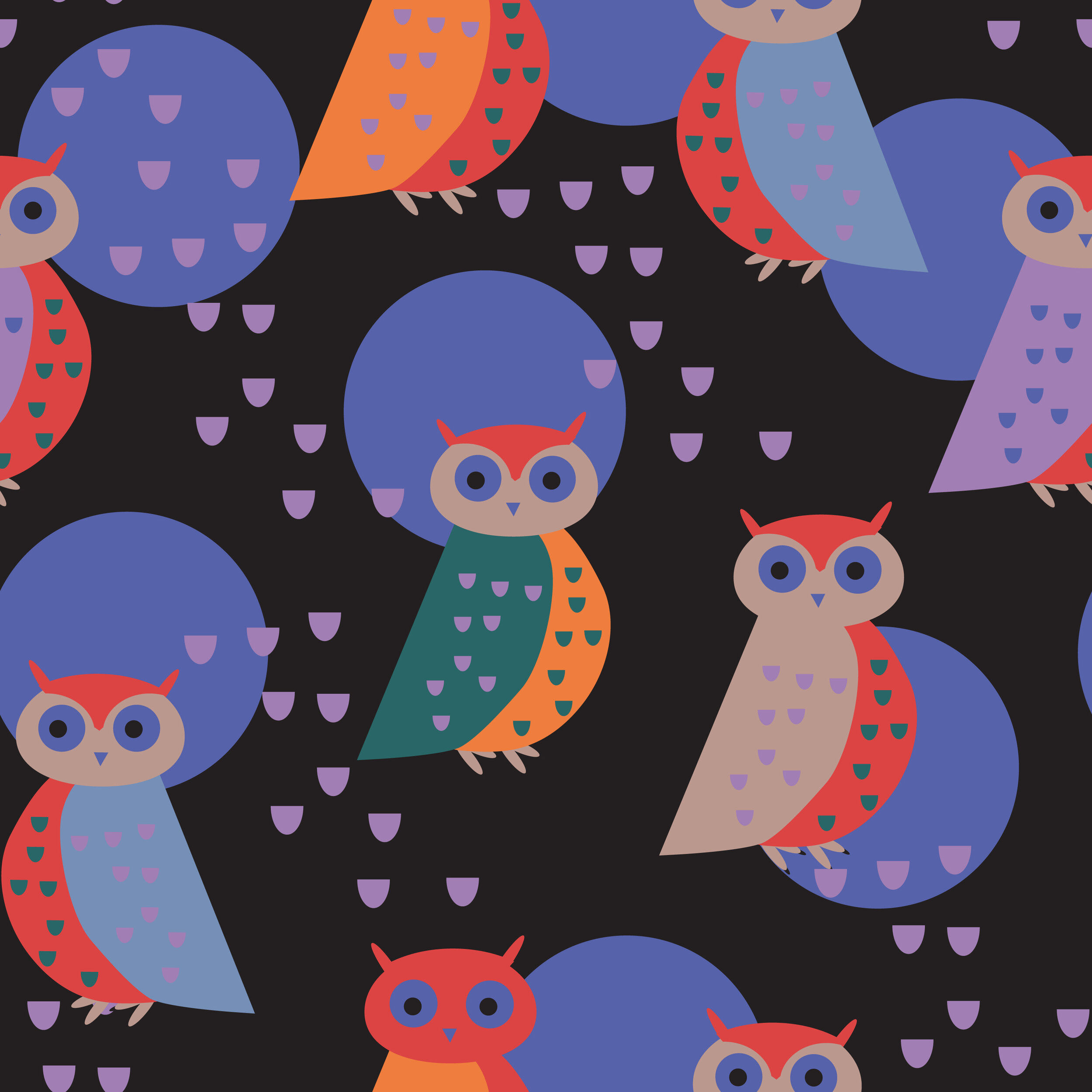 nightowl.3-01.jpg