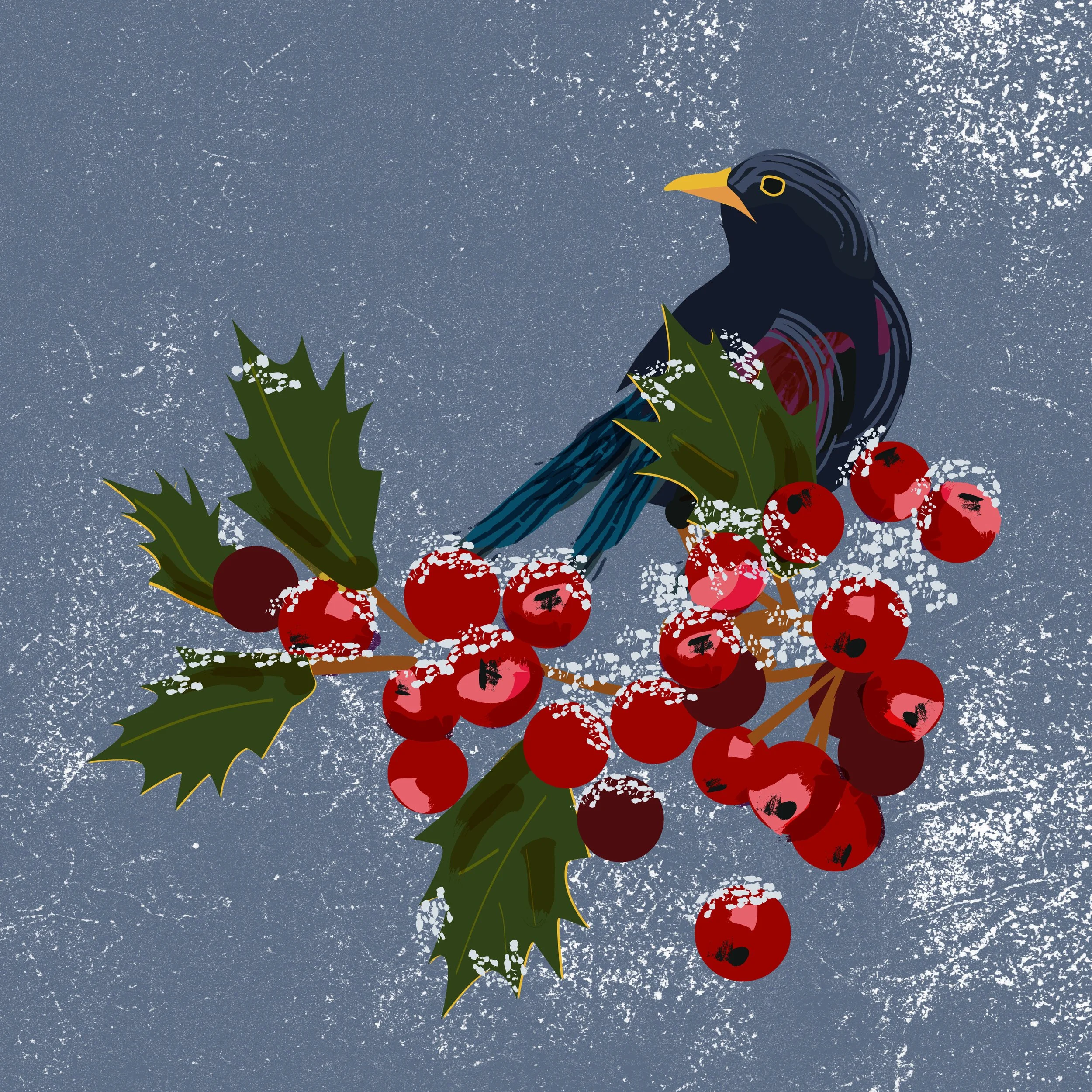 Illustration of a black bird with a yellow beak perched on holly branches with red berries, against a snowy, textured blue background.