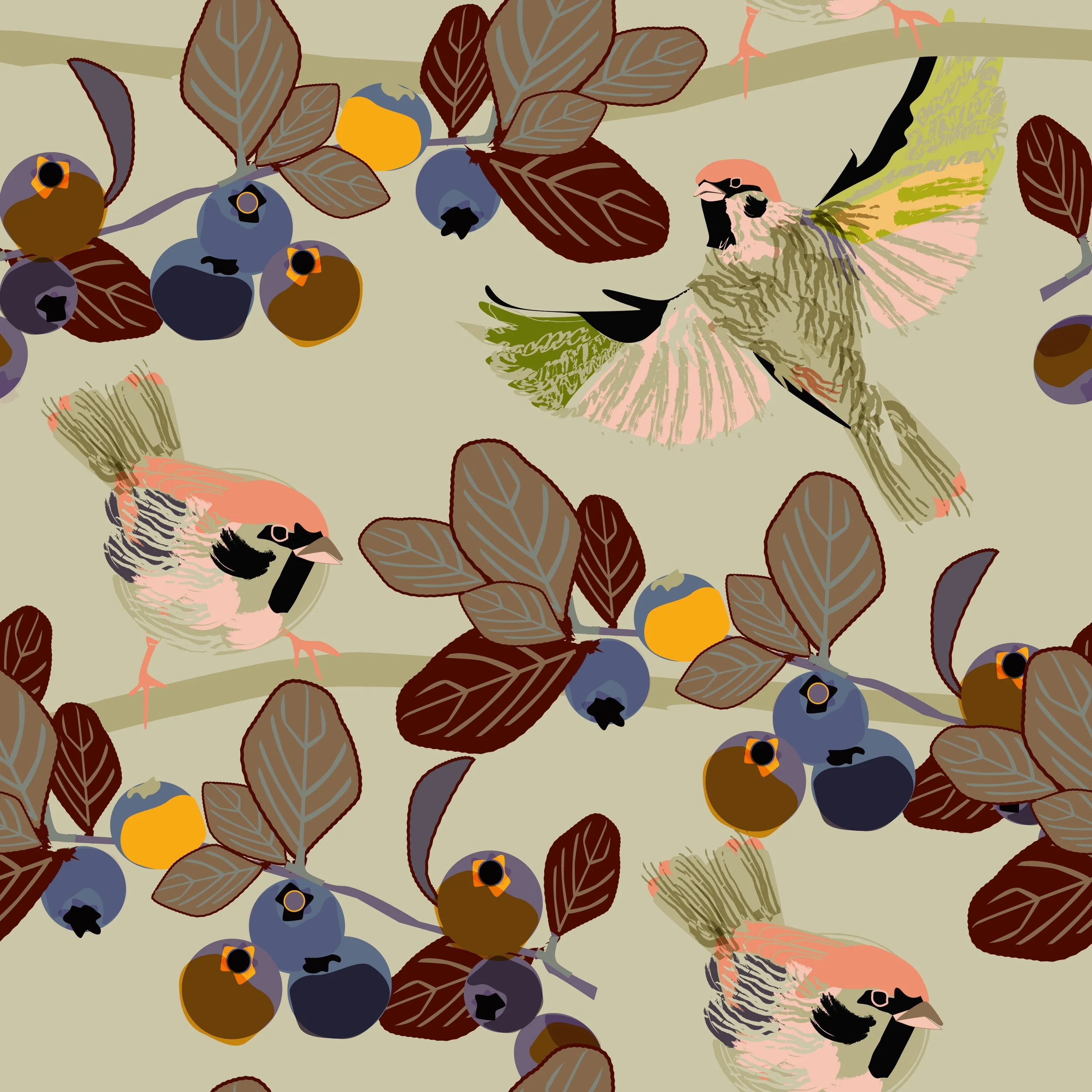 Tree Sparrow.Autumn.4.jpg