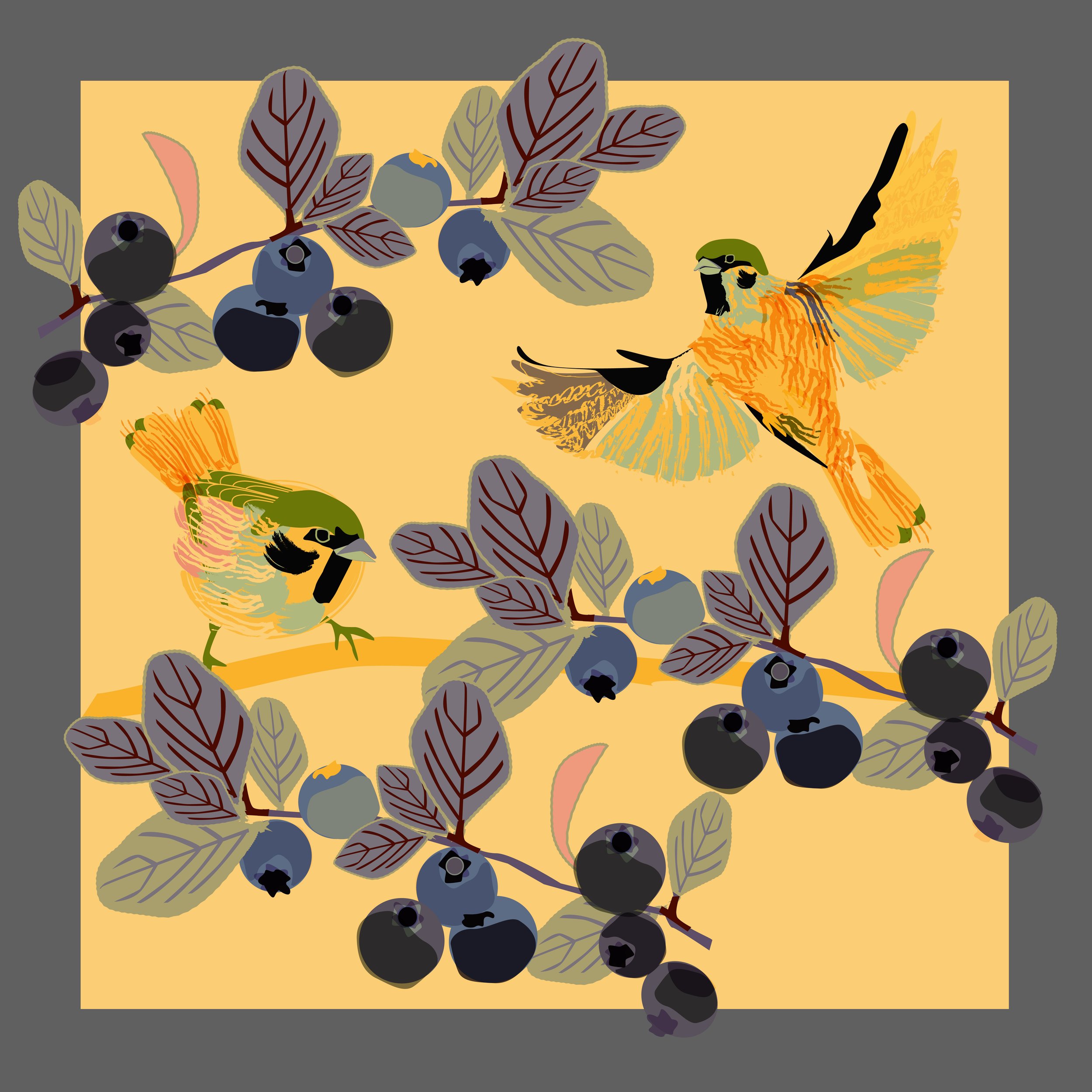tree sparrow.3.jpg