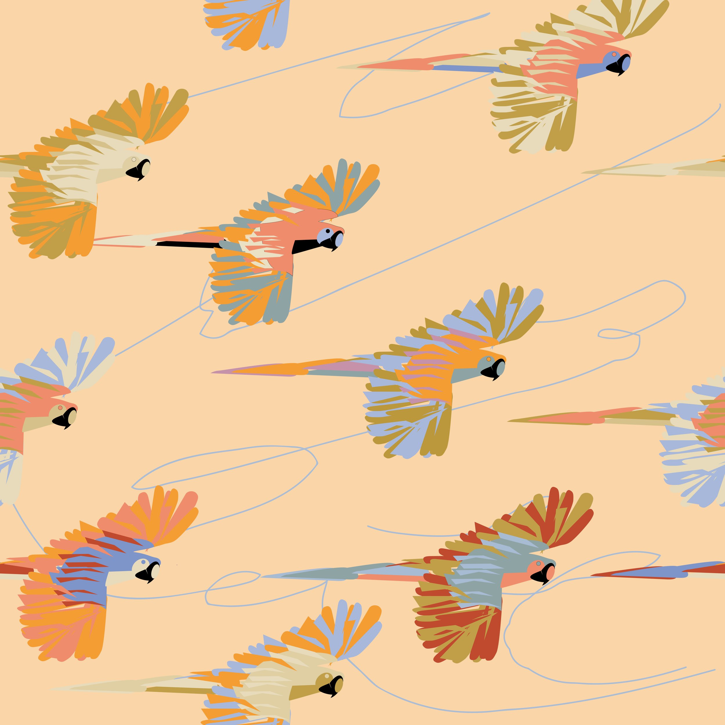macaw.2.jpg
