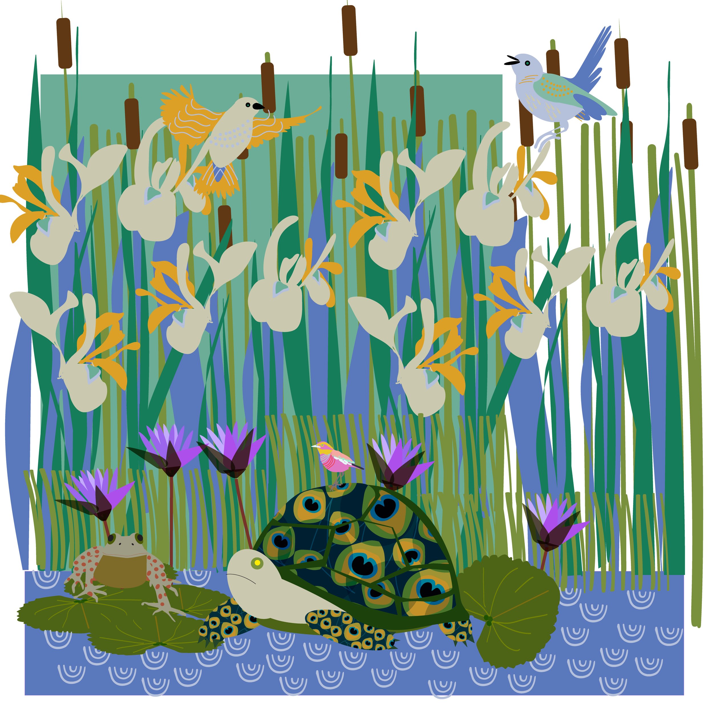 Reeds and Rushes.jpg