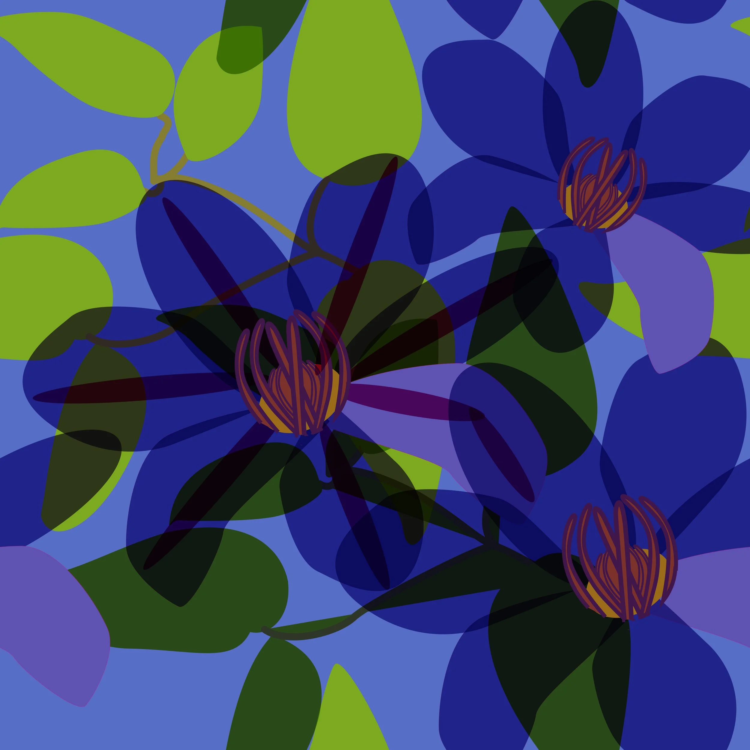  clematis-01.jpg