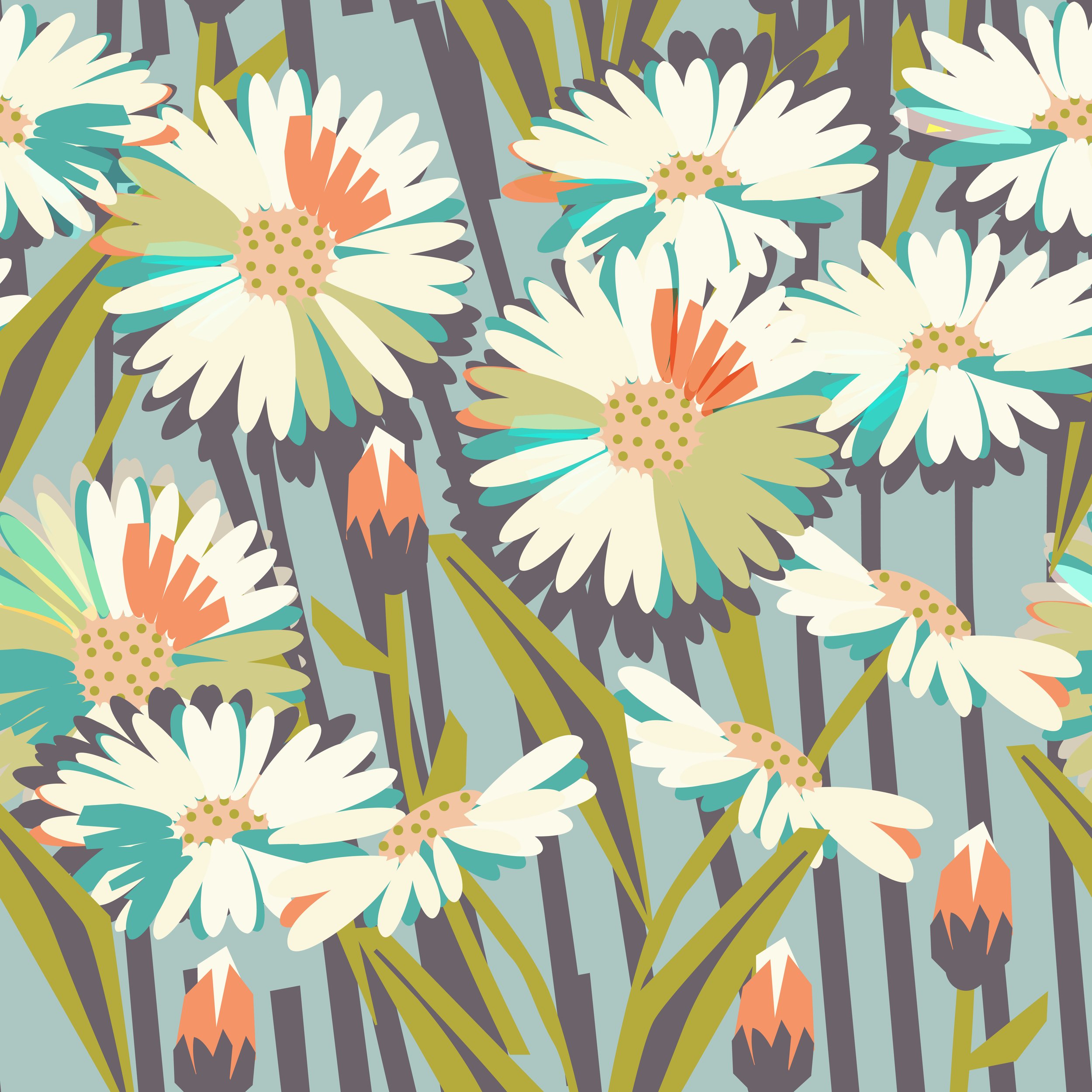 Aster.1.jpg