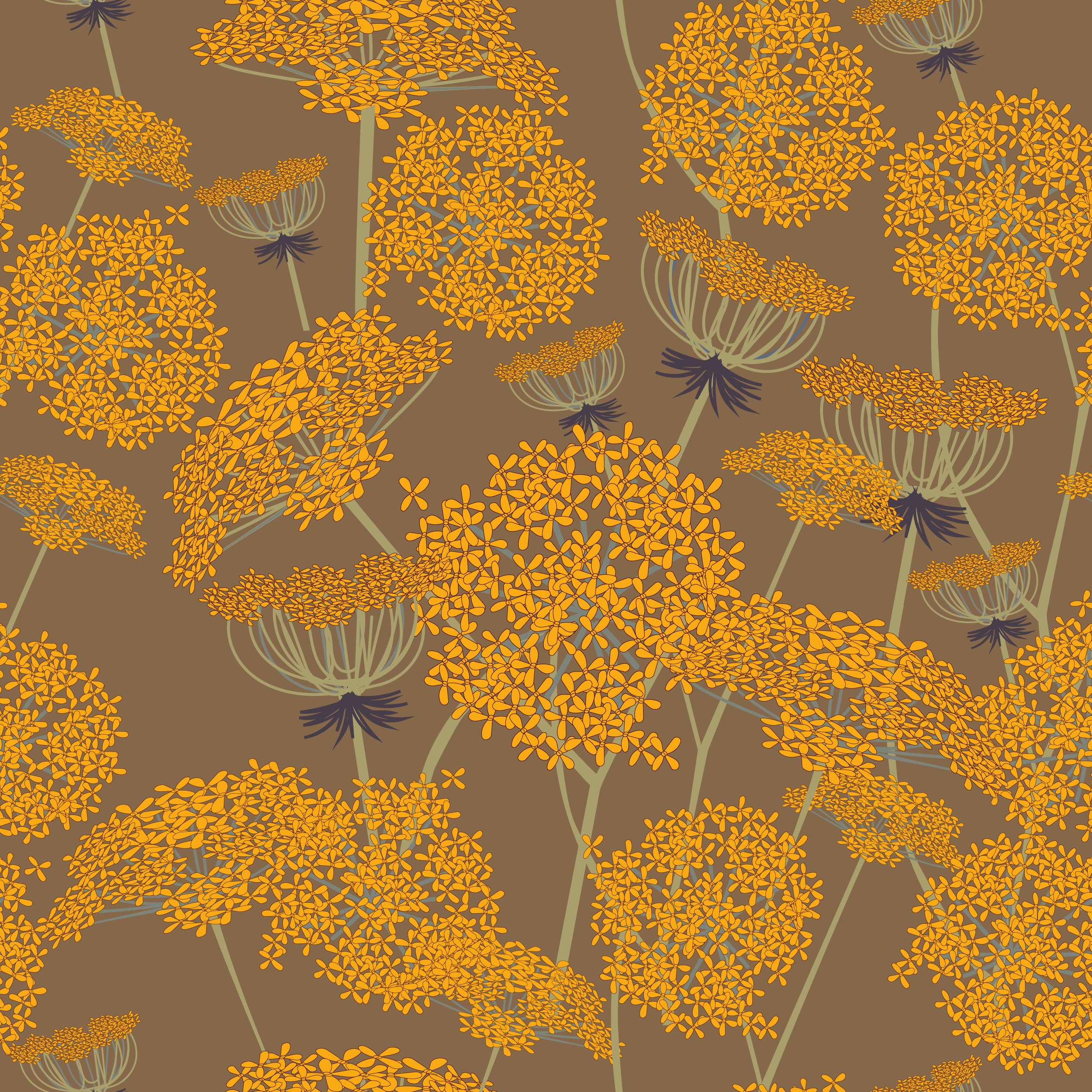 Cow Parsely- Autumn Color.jpg