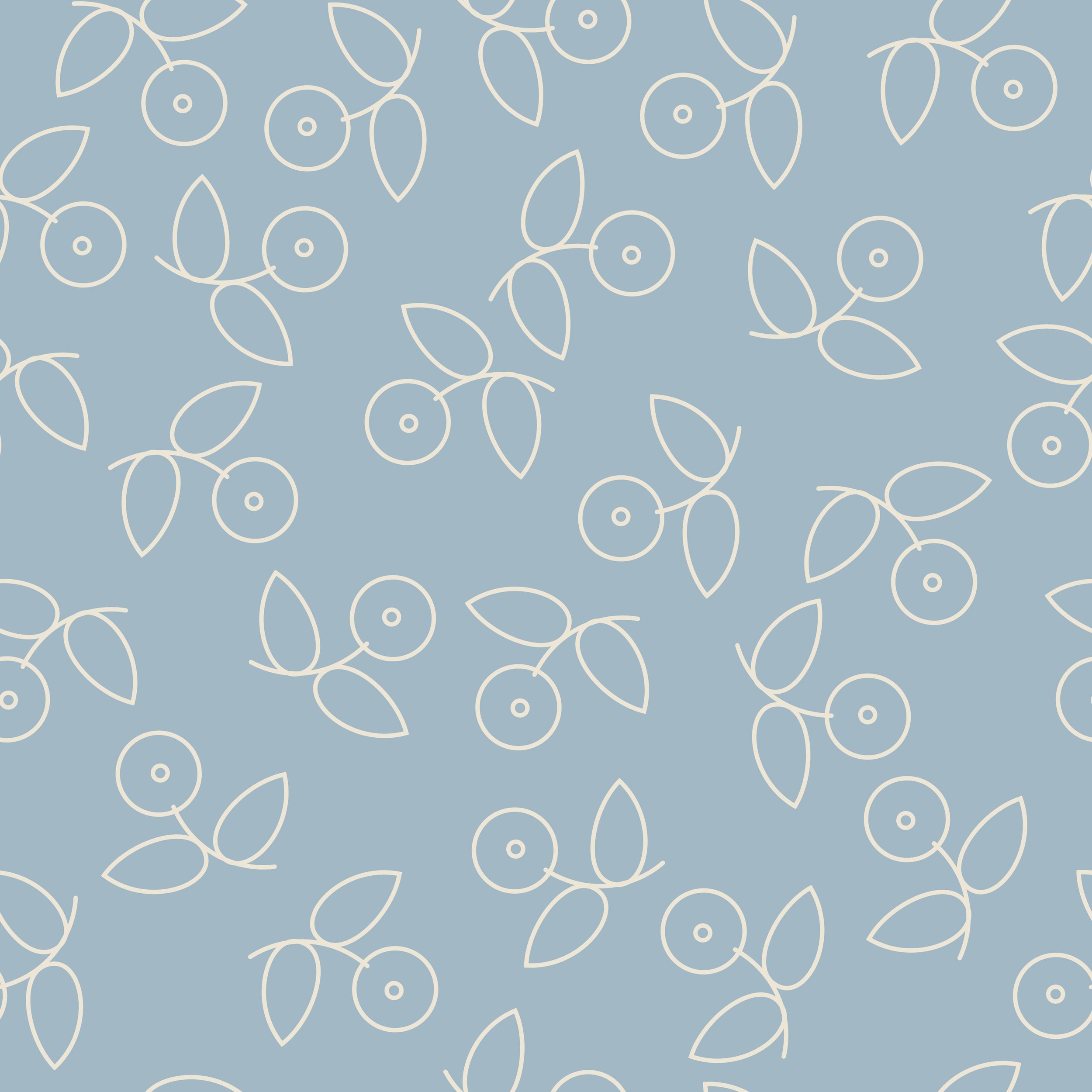 blue berry sketch.3.jpg