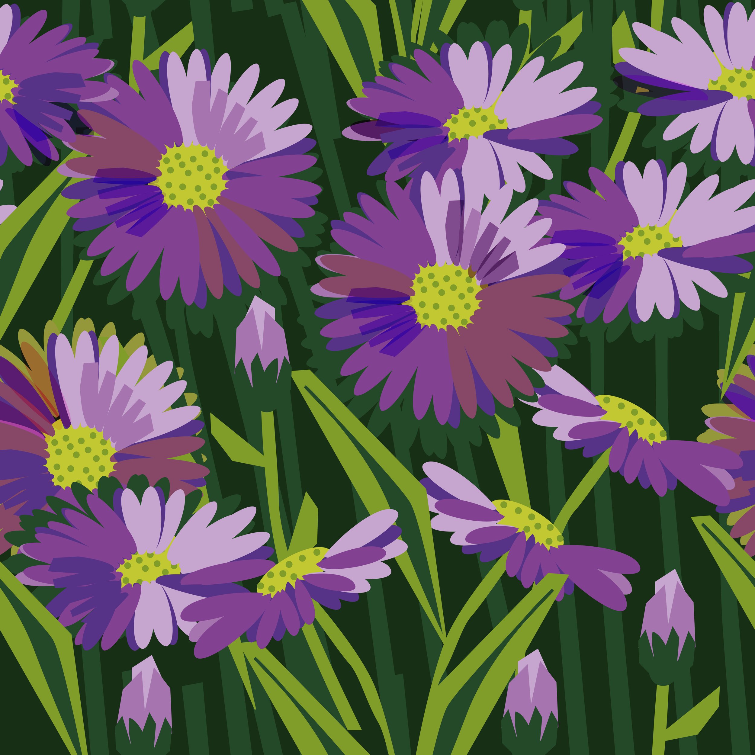 Purple Aster.jpg