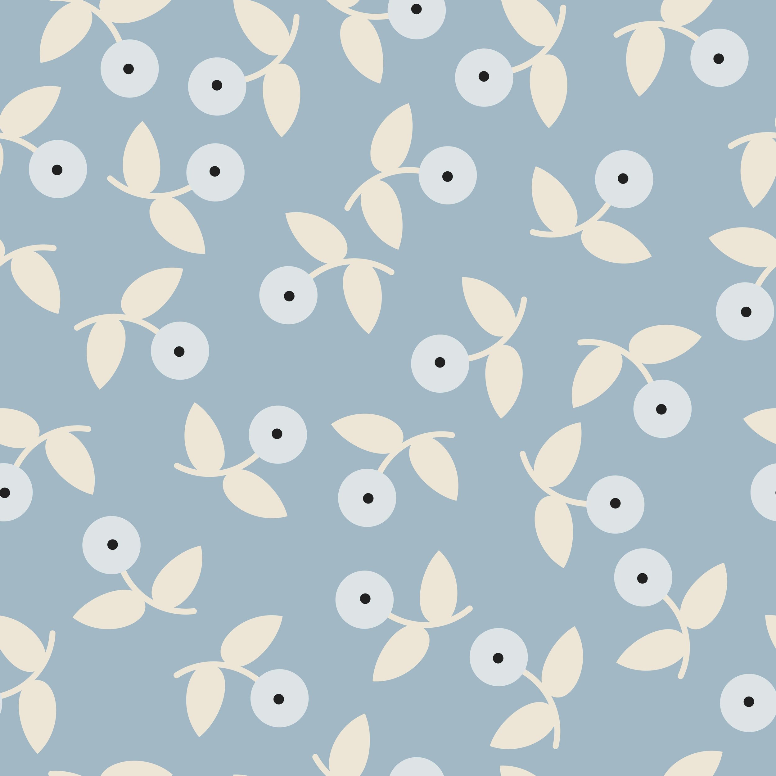 blue berries.6.jpg